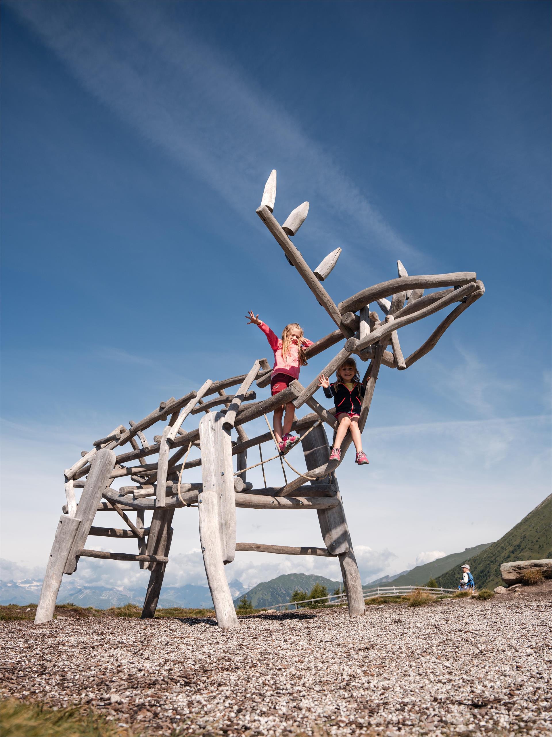 Jochtal adventure park Mühlbach/Rio di Pusteria 2 suedtirol.info