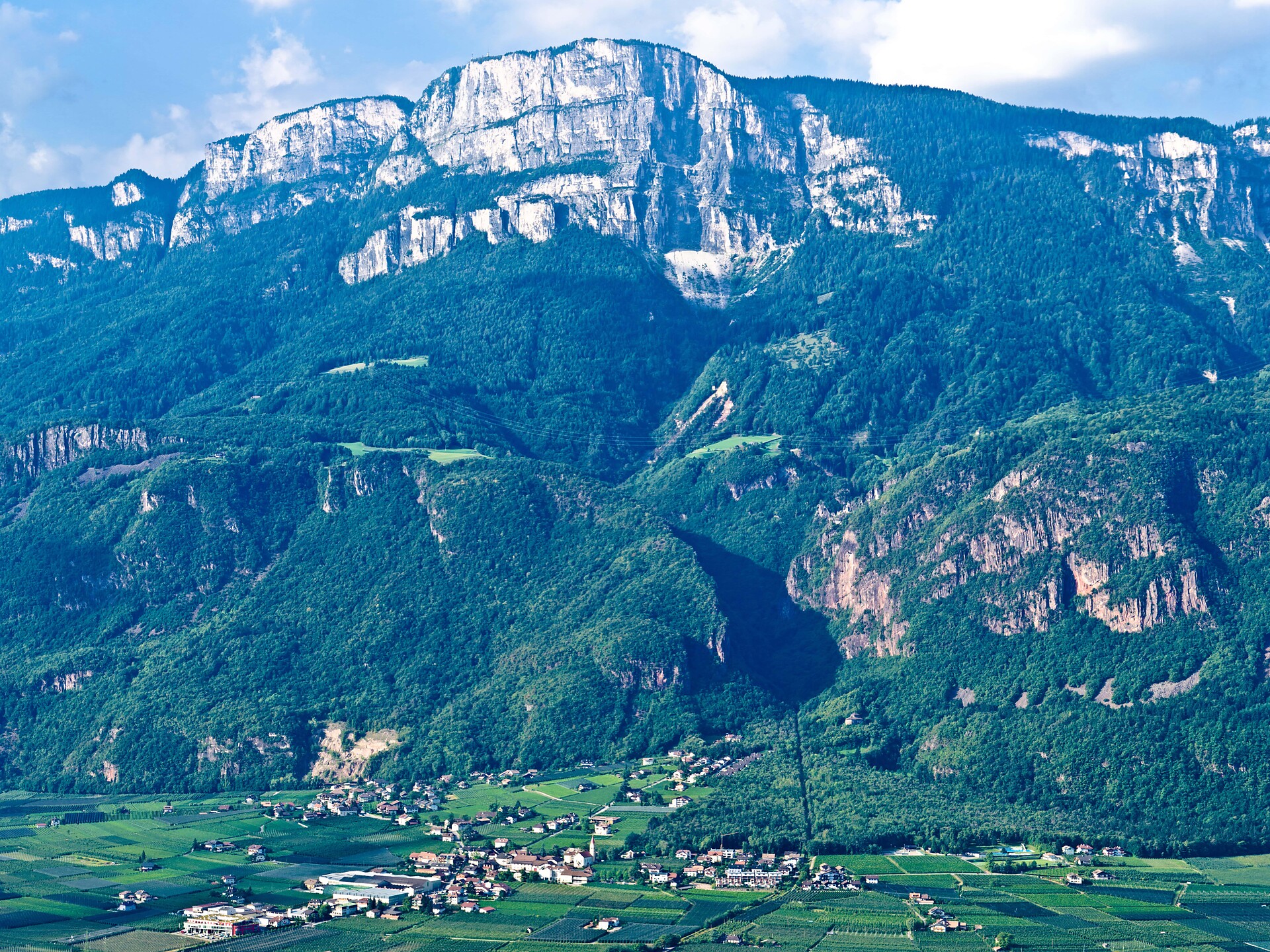 Andrian mit Eibenwald