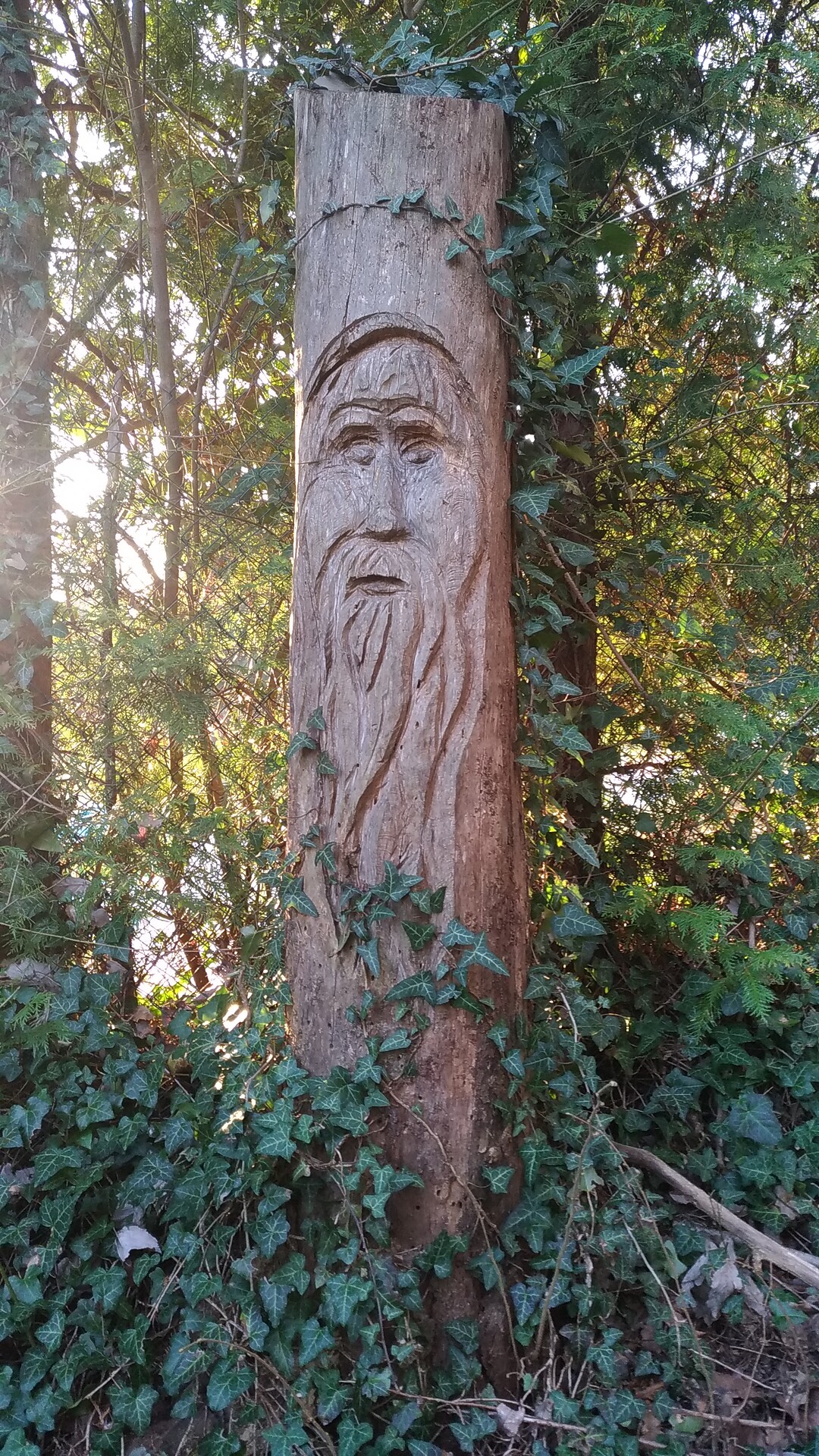 entlang des Weges