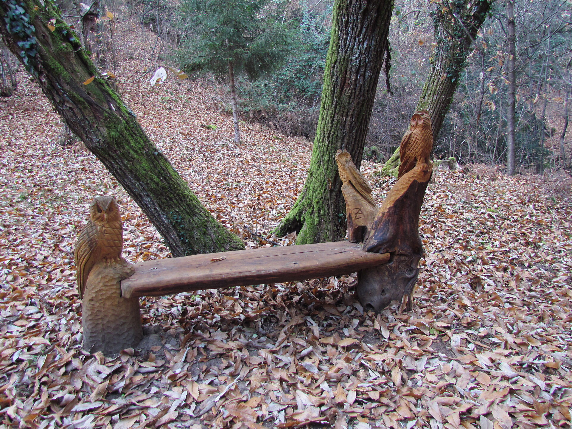 Bank im Wald