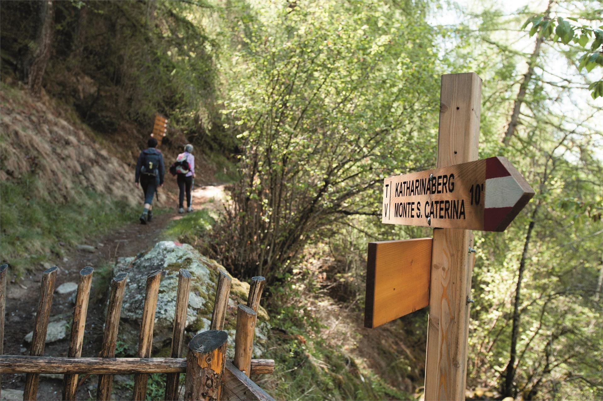 Entrata Alta Via di Merano a Monte S. Caterina Senales 2 suedtirol.info