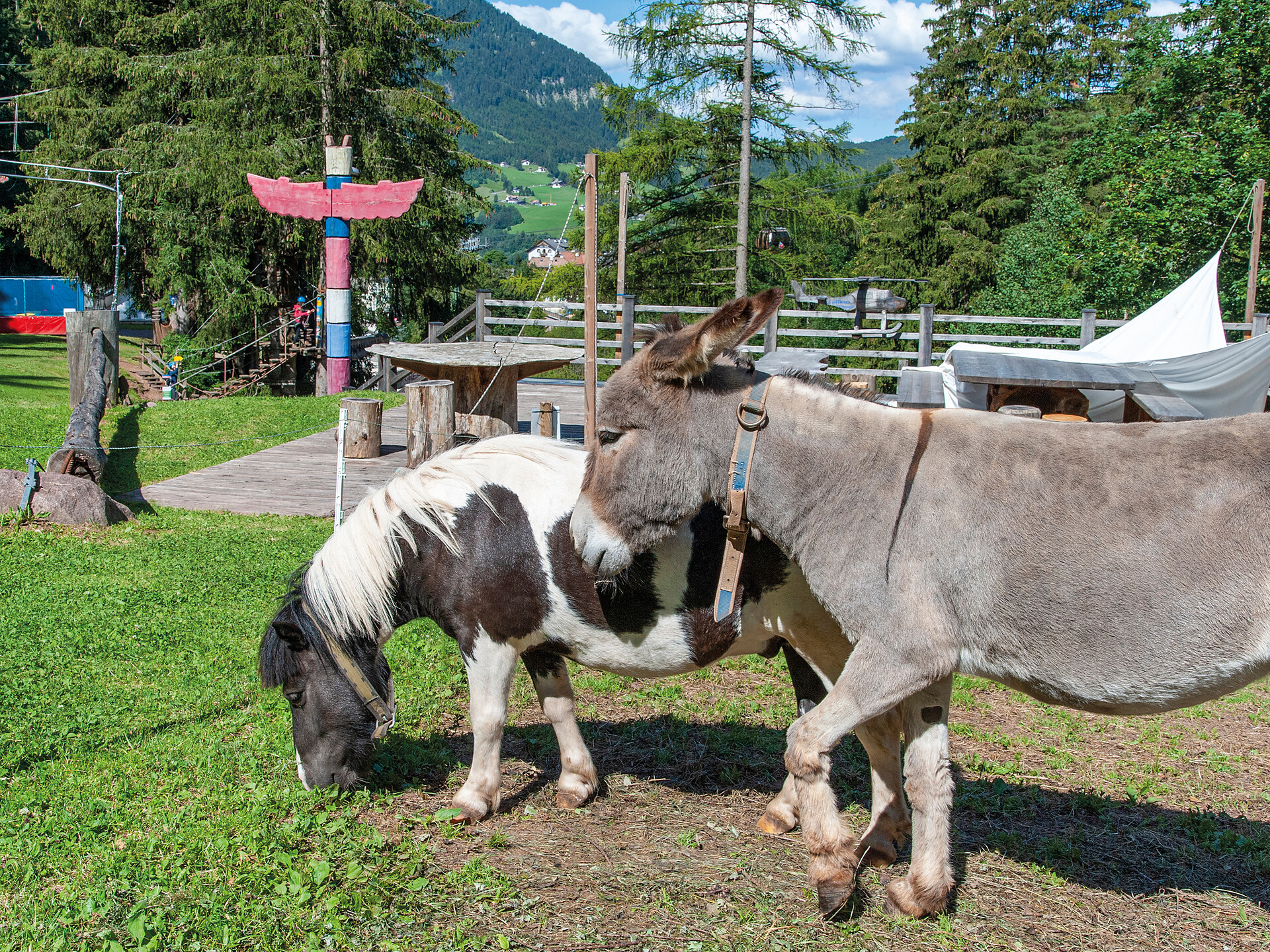 Col de Flam