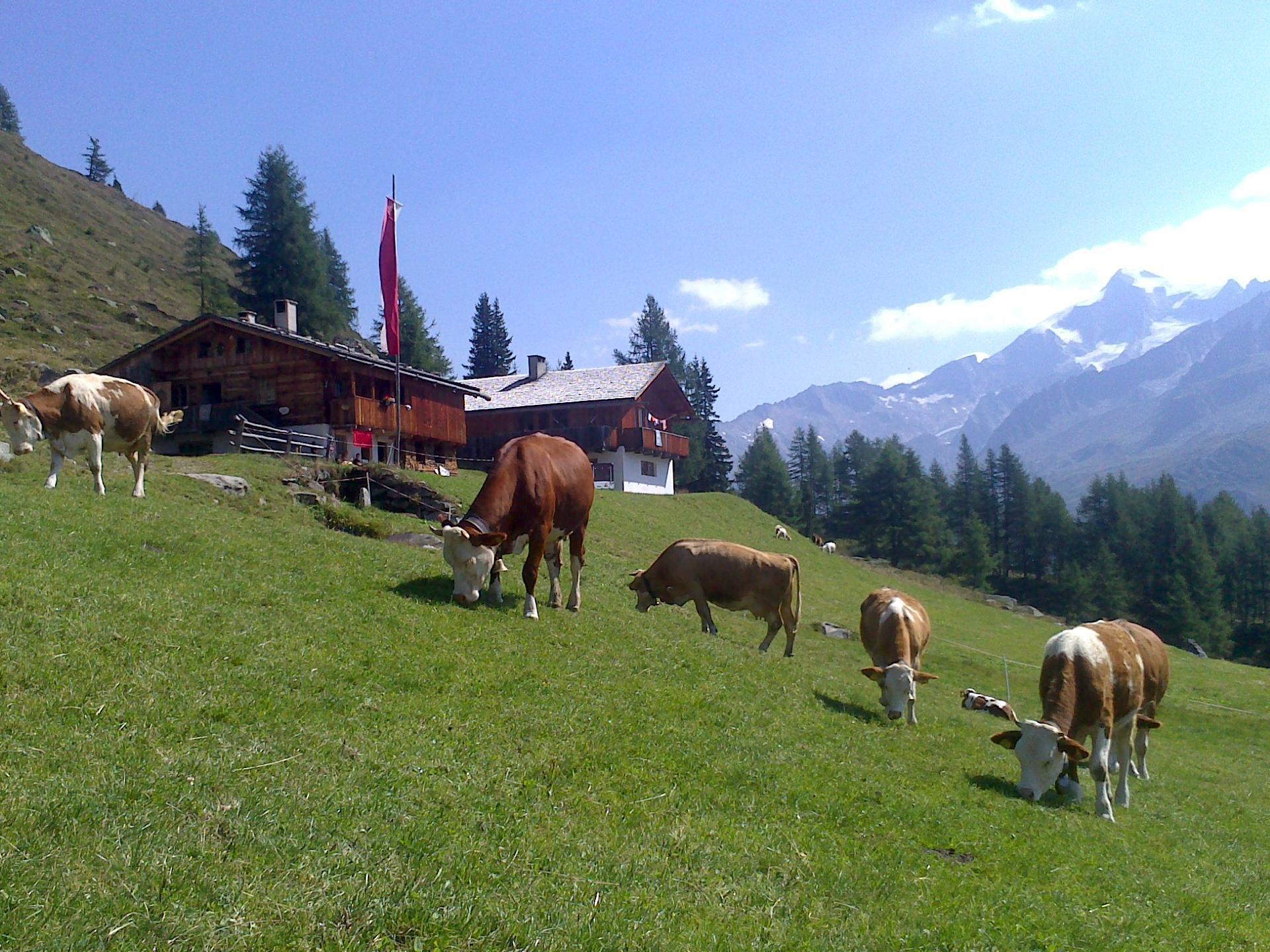E-Bike Ladestation - Fuchsalm Prettau 1 suedtirol.info