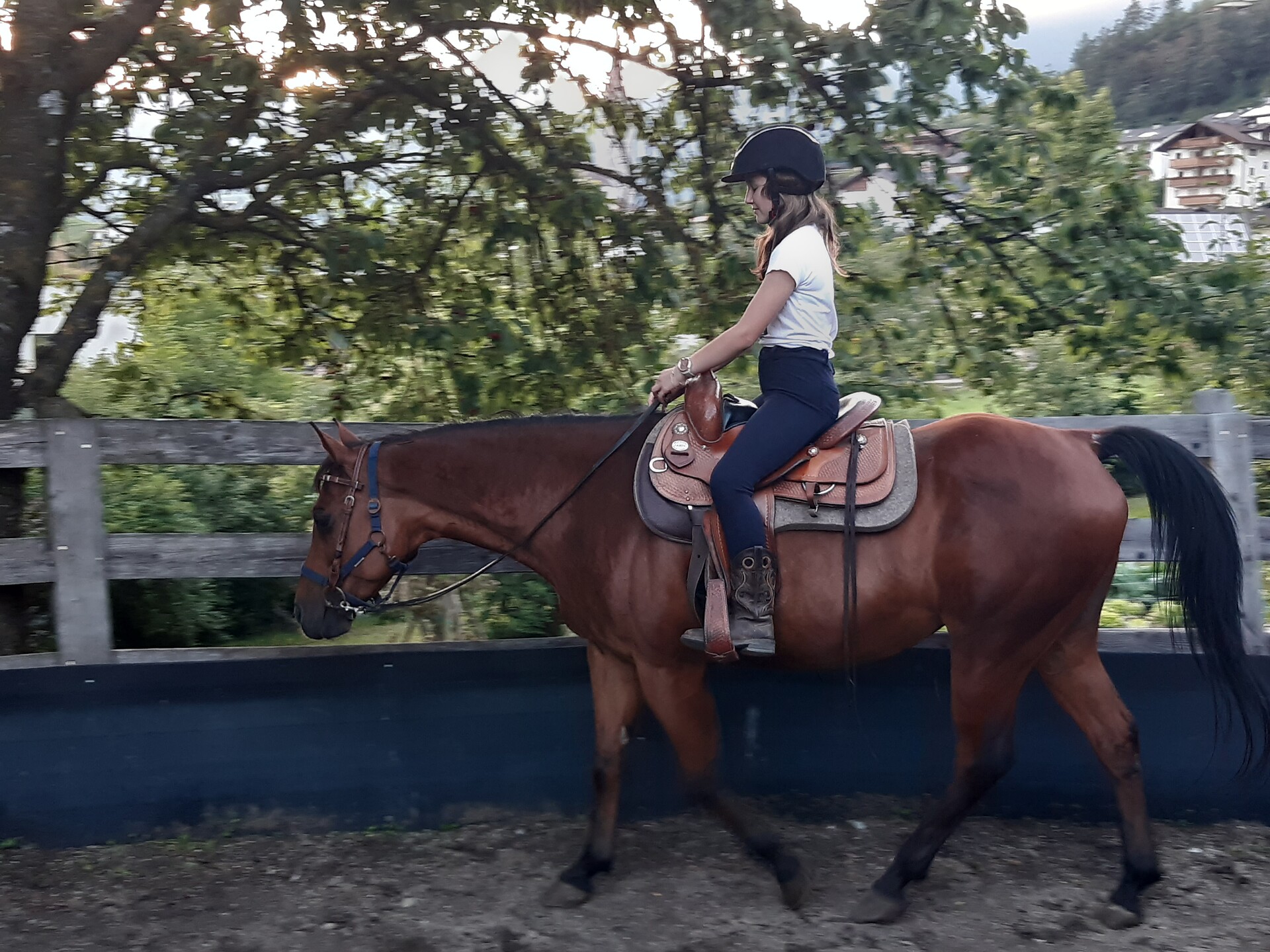 Reiten