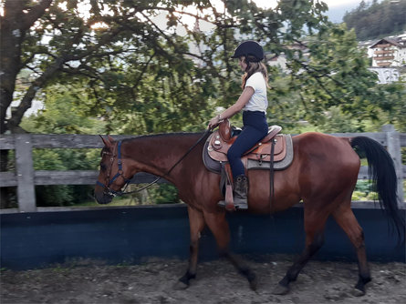 Erlebnis Pony und Pferd in Teis mit Romina Villnöss 2 suedtirol.info