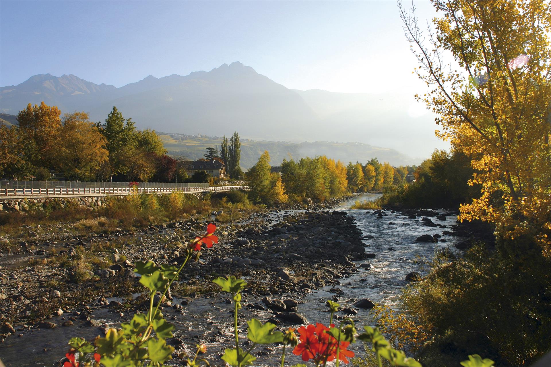 Bridge Forst Algund/Lagundo 1 suedtirol.info
