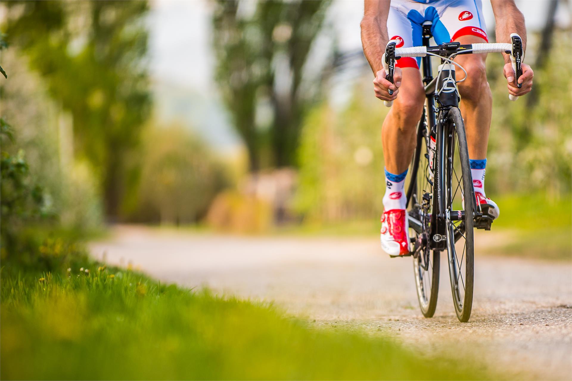 Ebike-Dreams Termeno sulla Strada del Vino 1 suedtirol.info