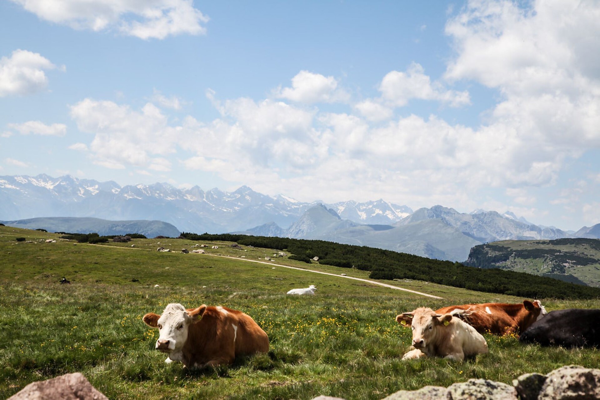 Corno del Renon
