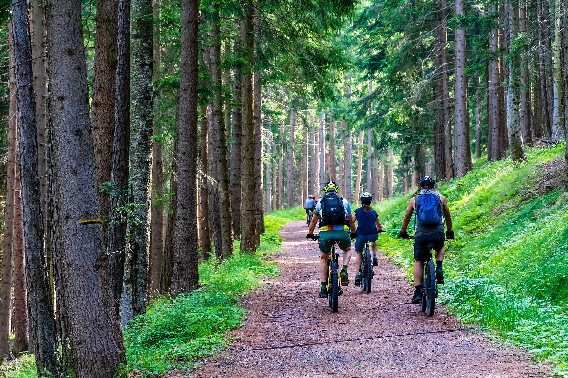 E-Bike Ladestation Gummererhof Tramin an der Weinstraße 2 suedtirol.info