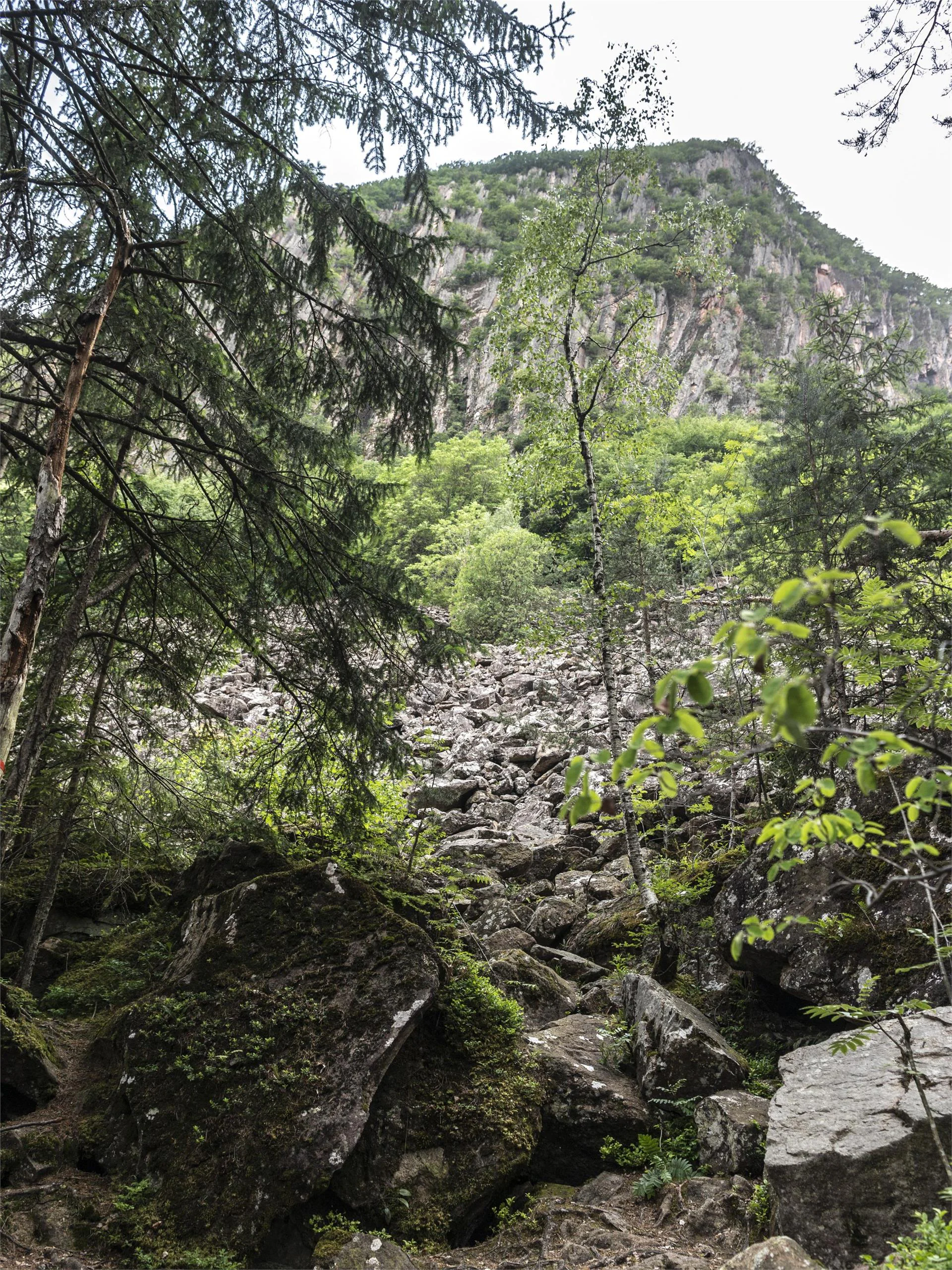 Buche di ghiaccio Caldaro sulla Strada del Vino 6 suedtirol.info