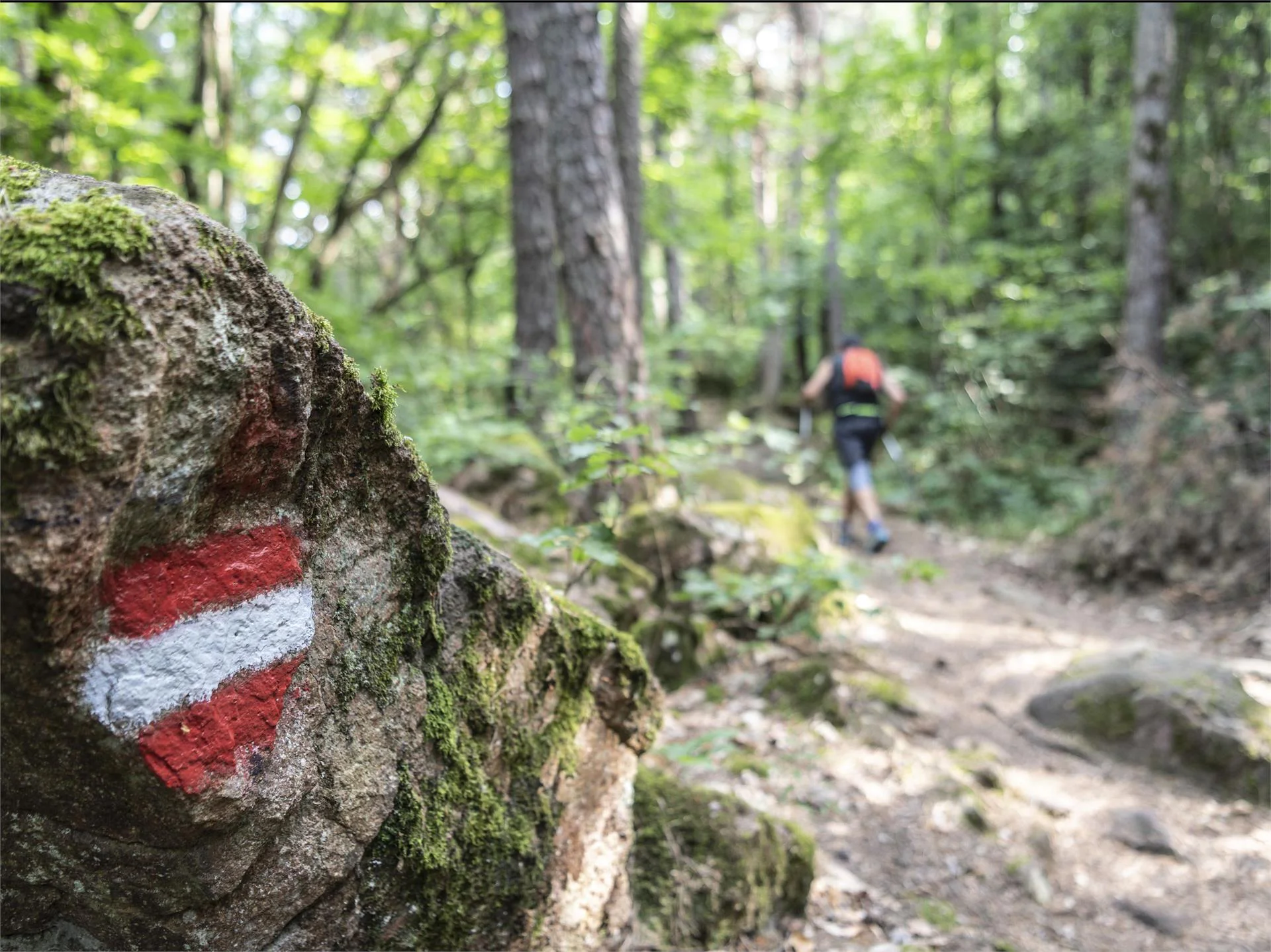 Buche di ghiaccio Caldaro sulla Strada del Vino 3 suedtirol.info
