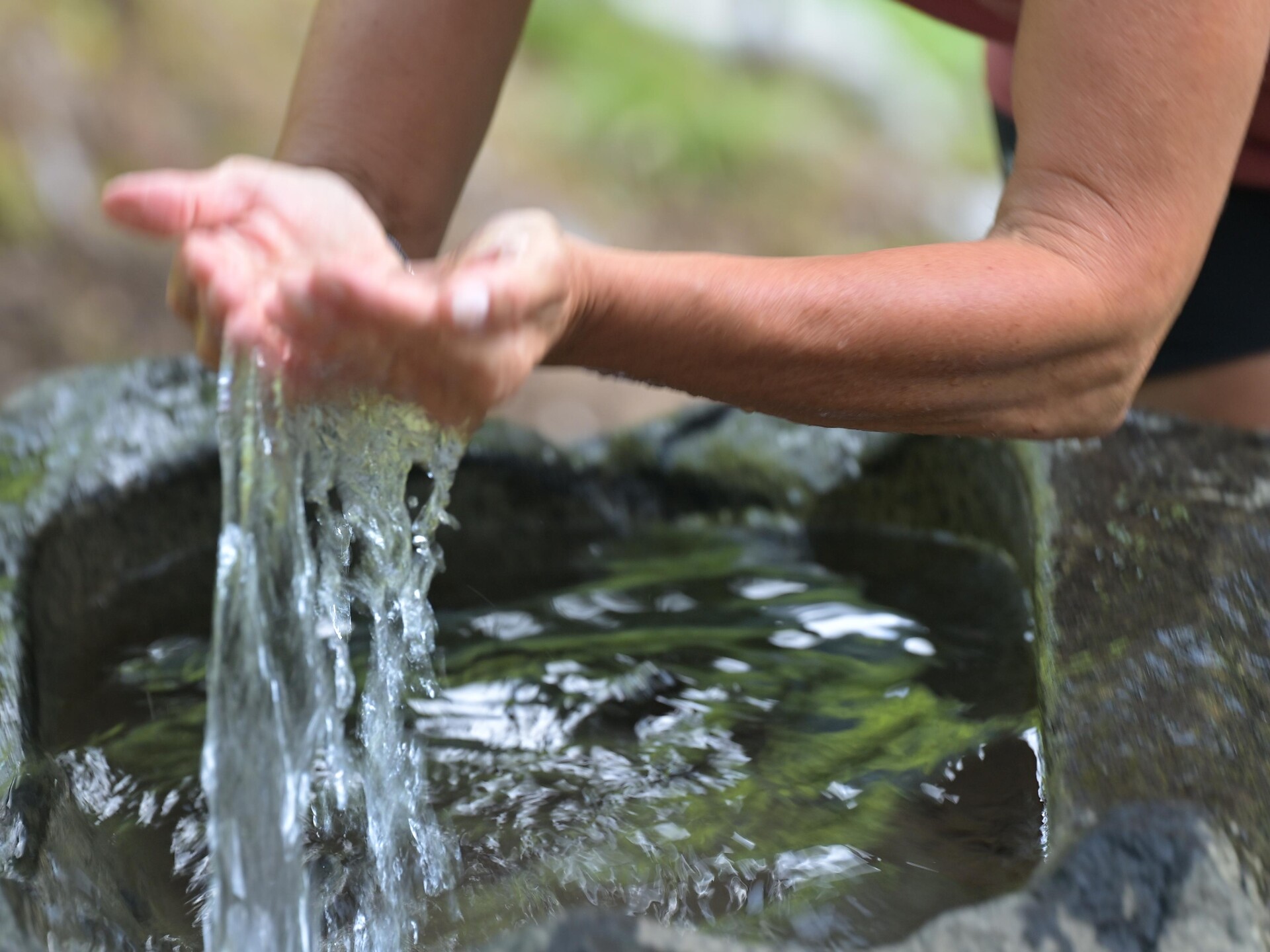 Eisenquelle - Dolomitenregion Seiser Alm - #2 - suedtirol.info