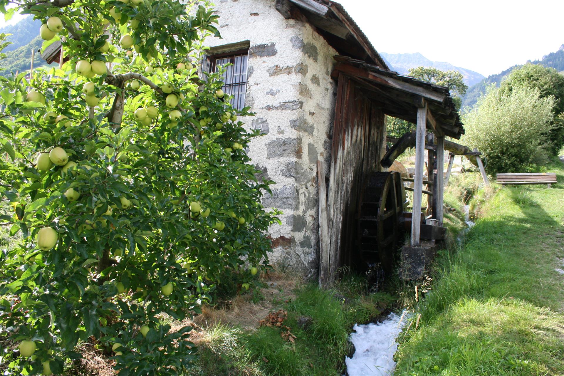 Mill Formermühle Partschins/Parcines 4 suedtirol.info