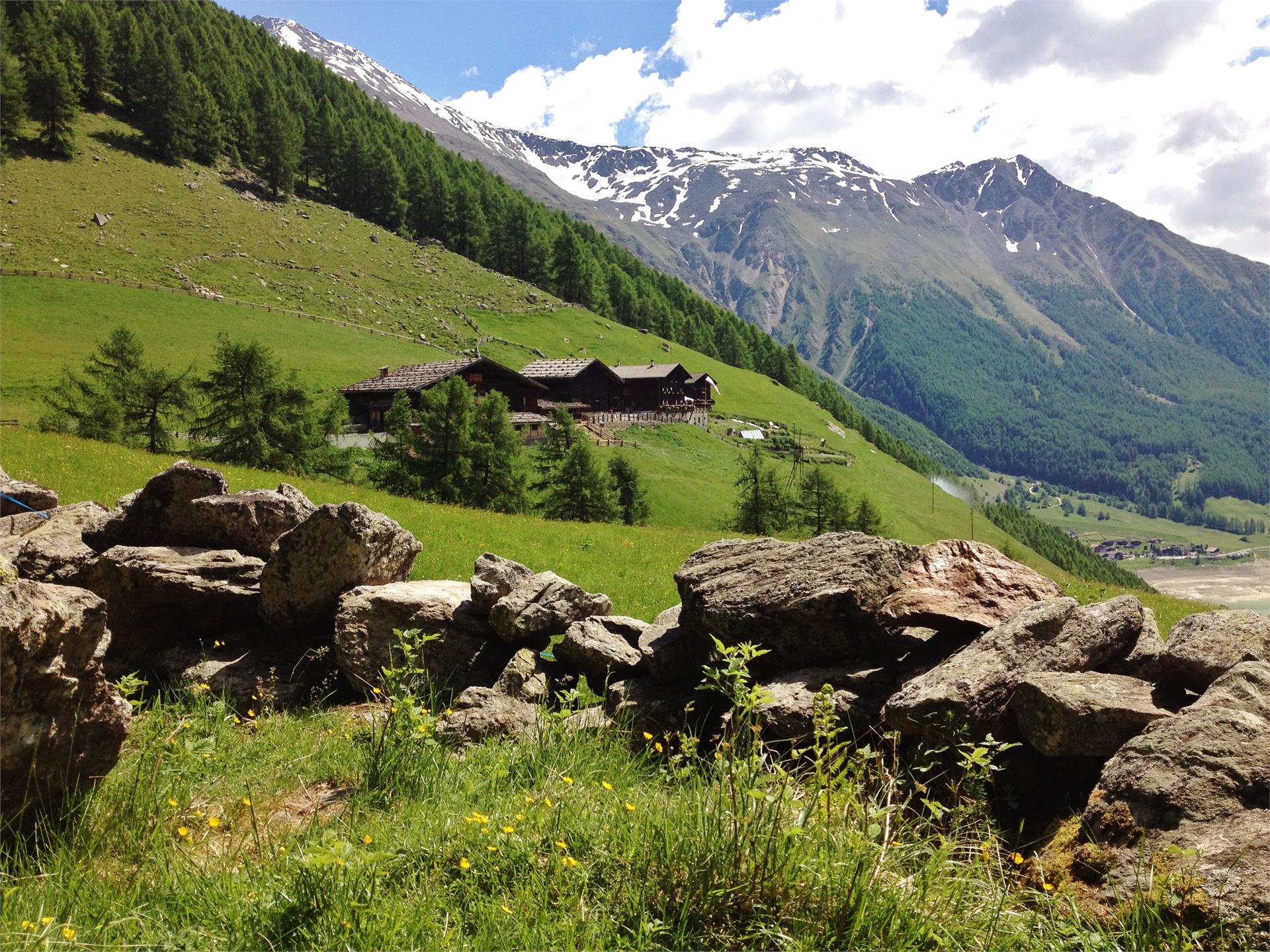 Maso Finailhof Senales 2 suedtirol.info