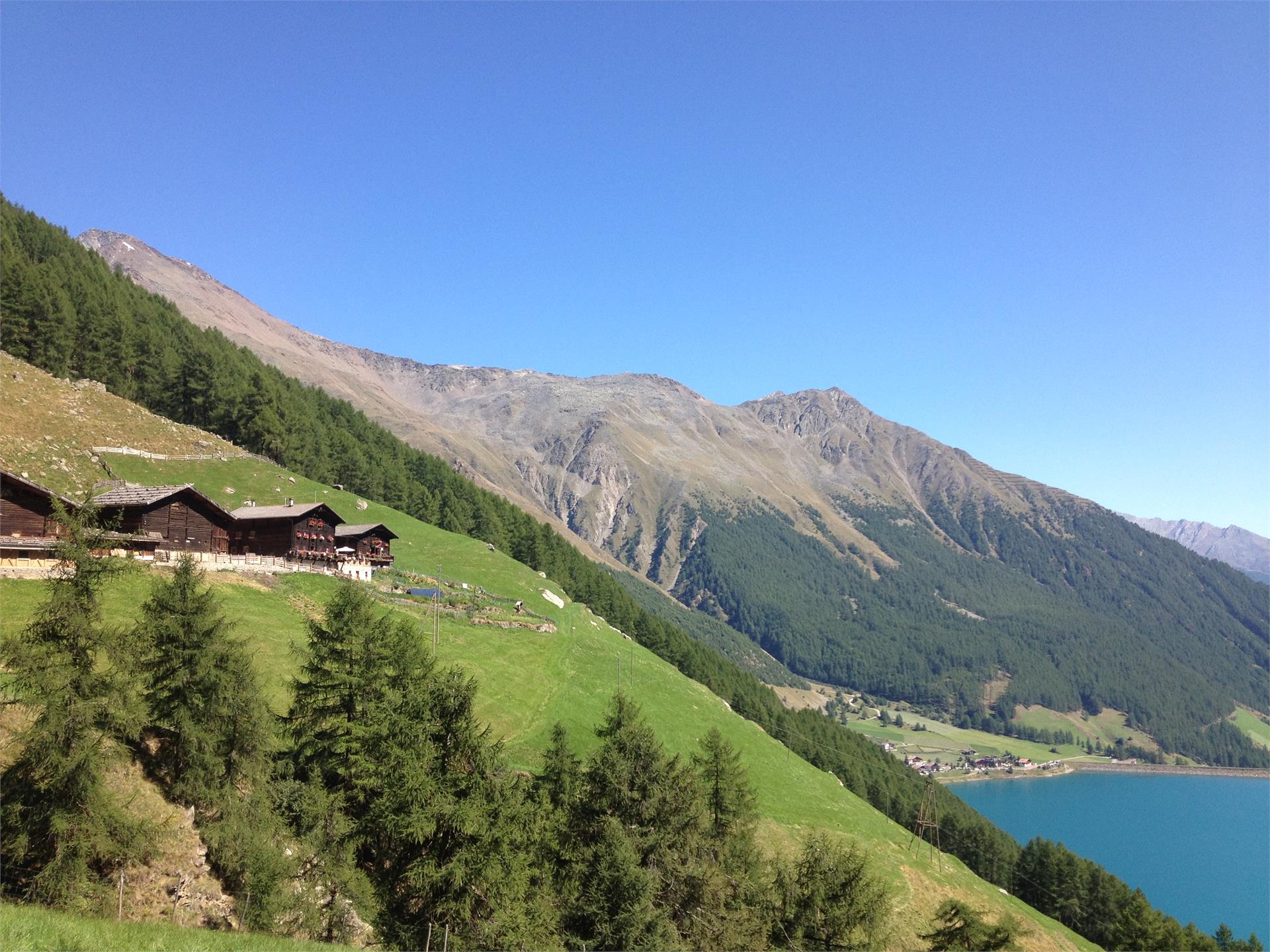 Maso Finailhof Senales 3 suedtirol.info