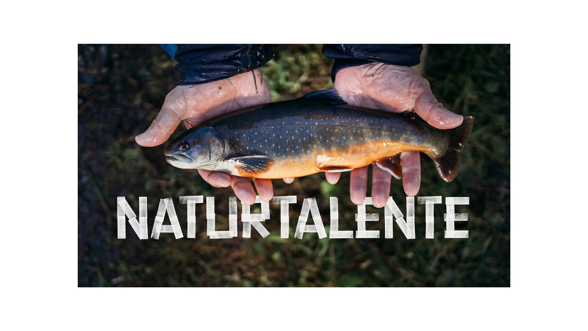 Schiefer Fish Farm - Meran/Merano and environs - #1 - suedtirol.info