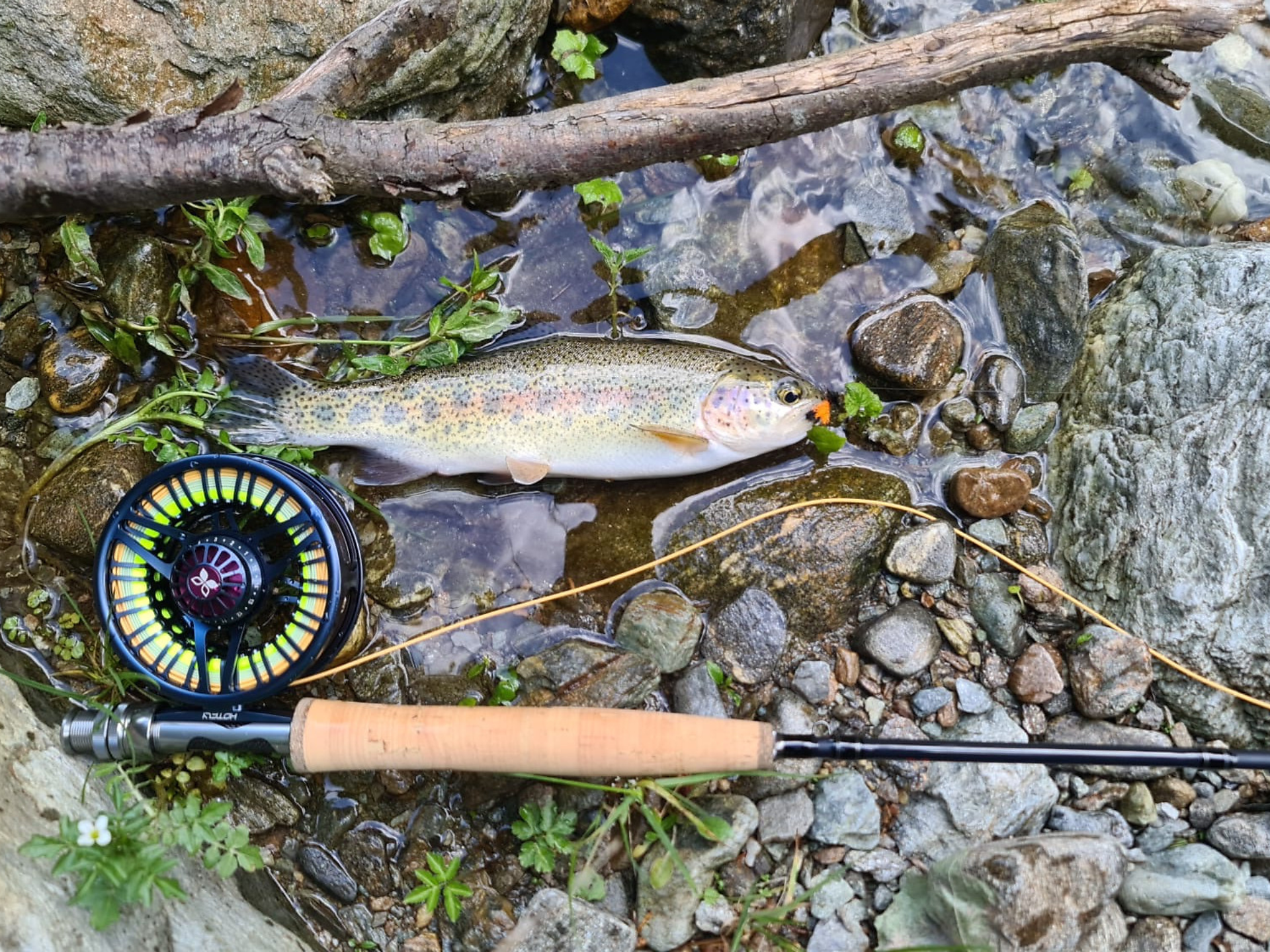 Fisching in the Ultental valley