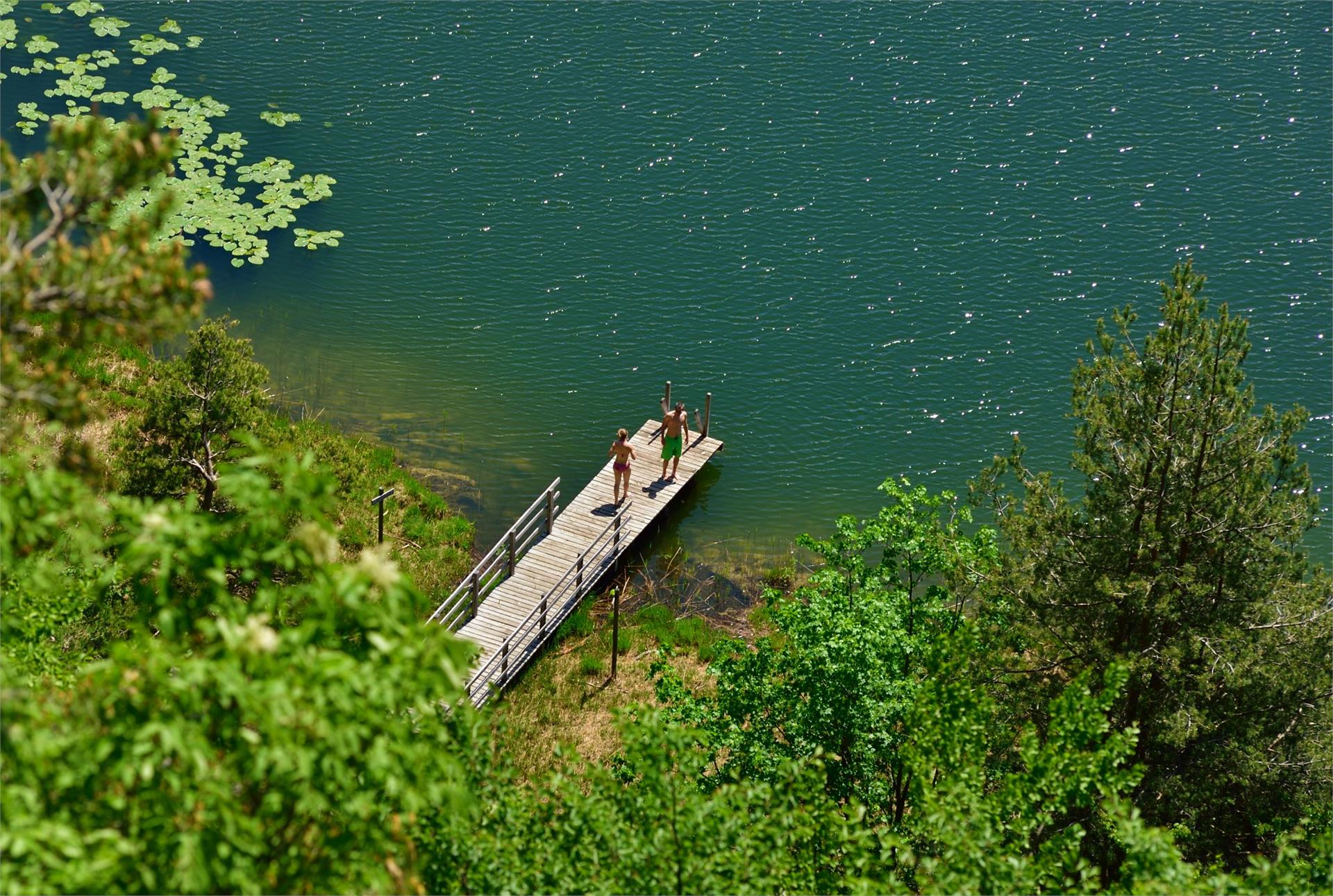 Fennberg Lake Margreid an der Weinstraße/Magrè sulla Strada del Vino 3 suedtirol.info
