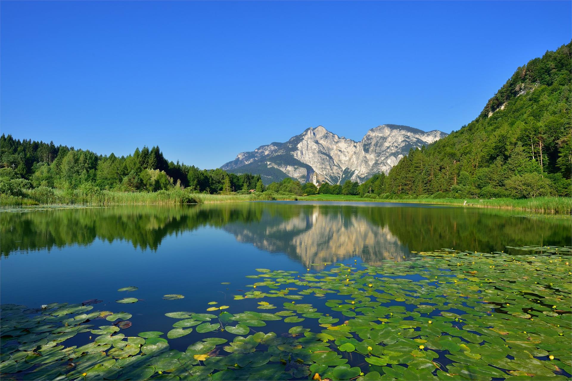 Fennberg Lake Margreid an der Weinstraße/Magrè sulla Strada del Vino 1 suedtirol.info