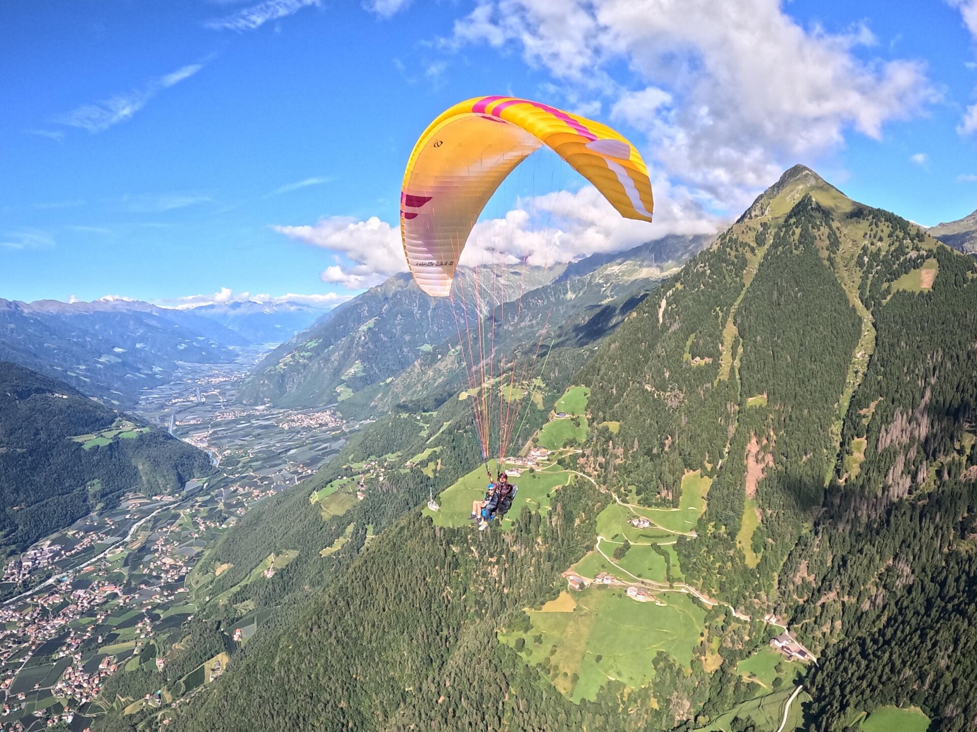 Fliederclub Tirolfly