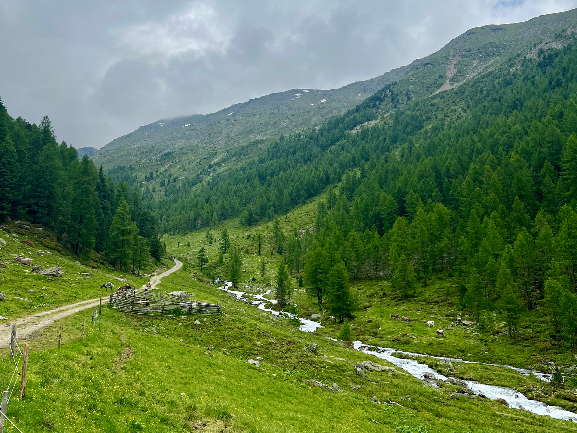 Flatschbergbach stream