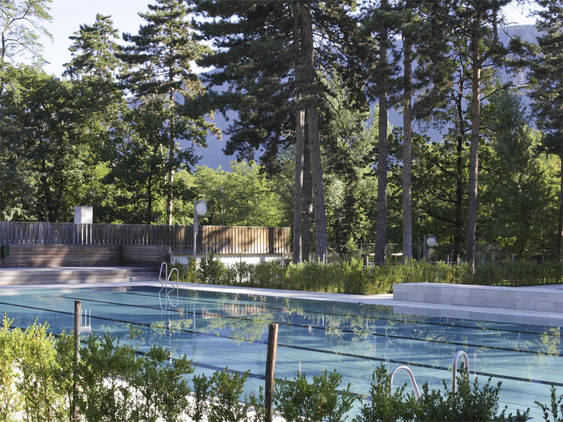 Swimming Pool Nalles Tisens/Tesimo 2 suedtirol.info