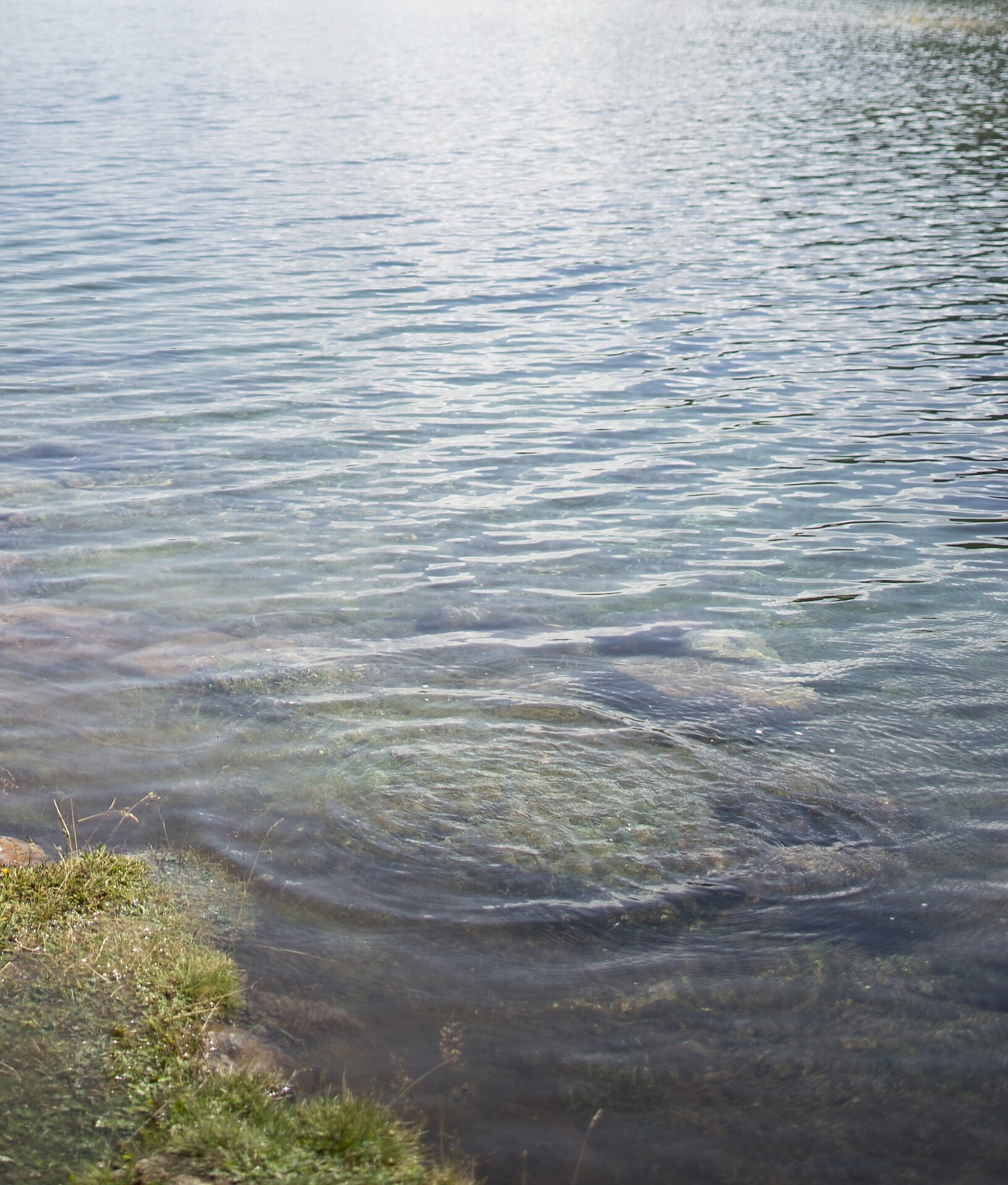 Fischen im Spitzensee 266/C - Meran und Umgebung - #1 - suedtirol.info