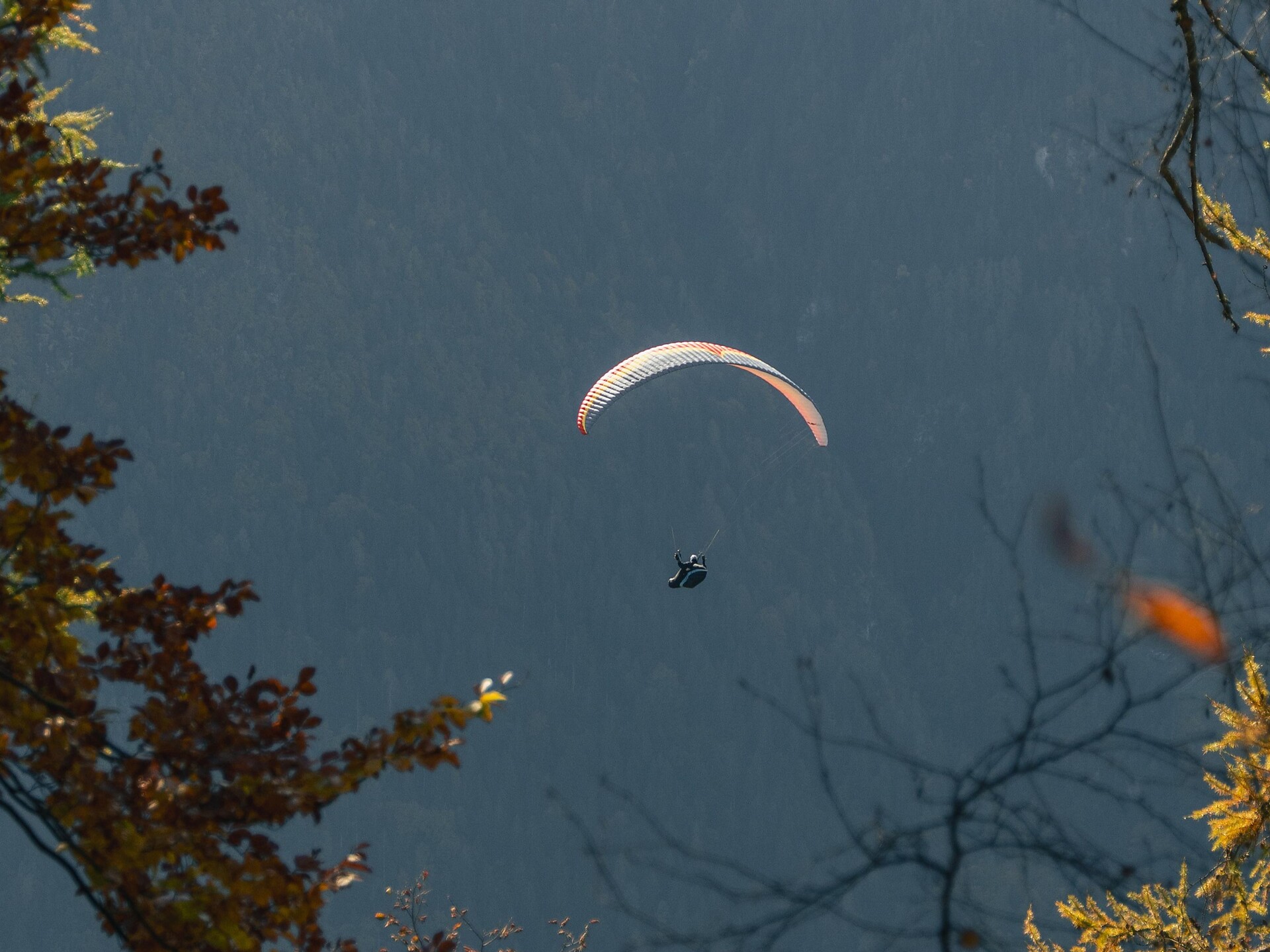 Fly42 Gleitschirm Tandemflug - Meran und Umgebung - #1 - suedtirol.info