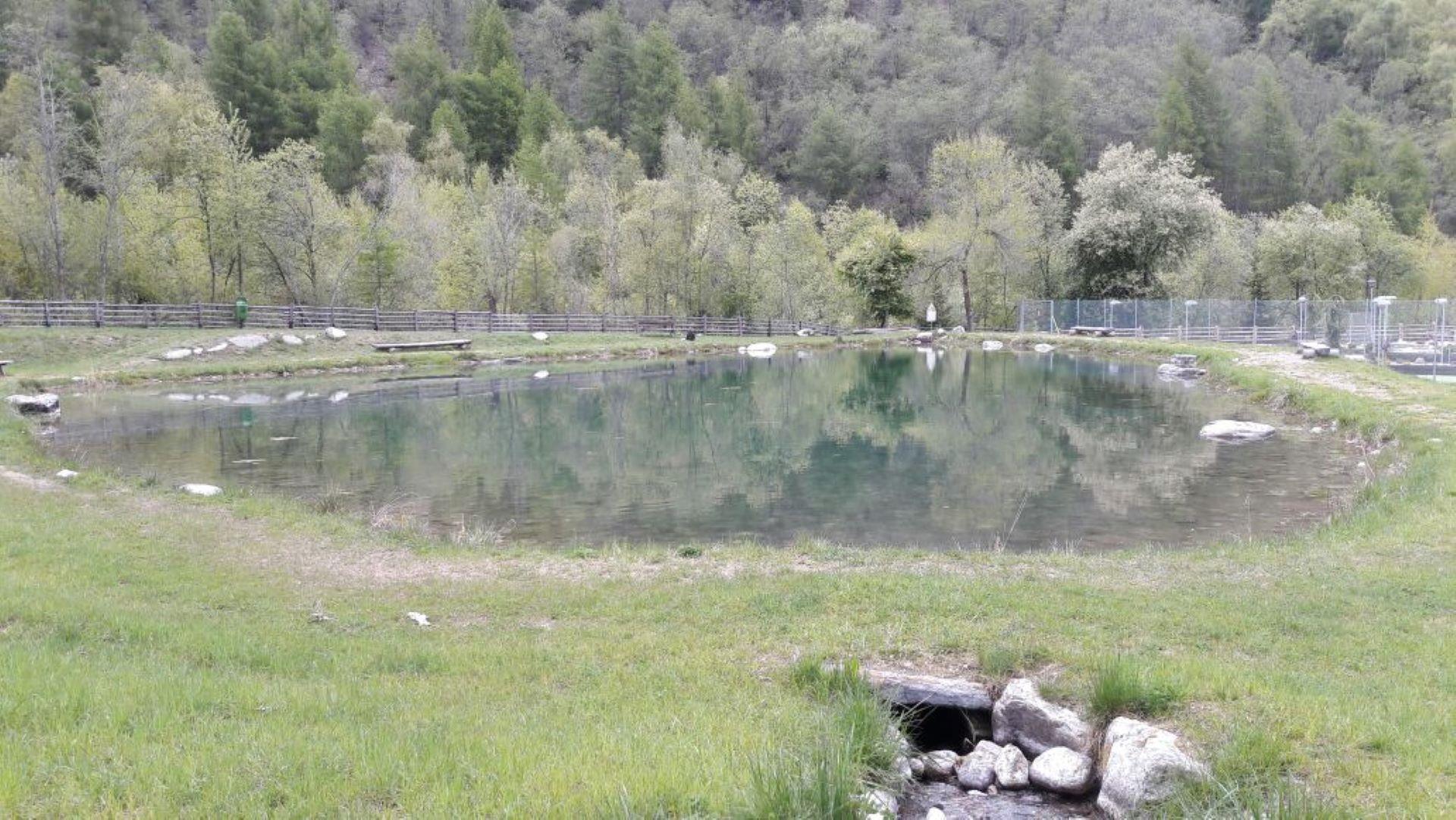 Laghetto per la pesca nel centro Trattla Martello 3 suedtirol.info