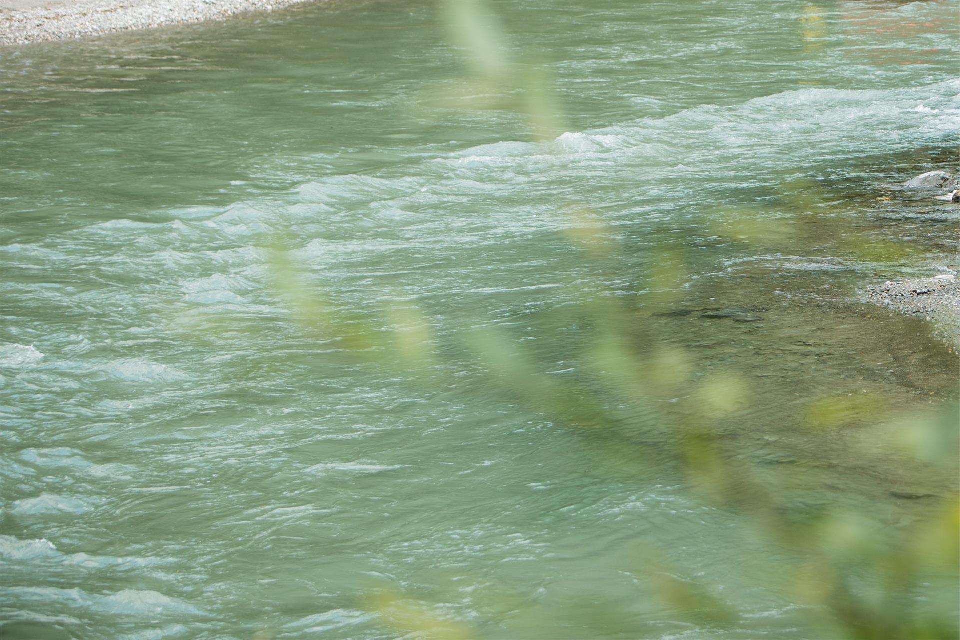 Fishing in the Ahr river at Prettau/Predoi and Kasern/Casere Prettau/Predoi 1 suedtirol.info