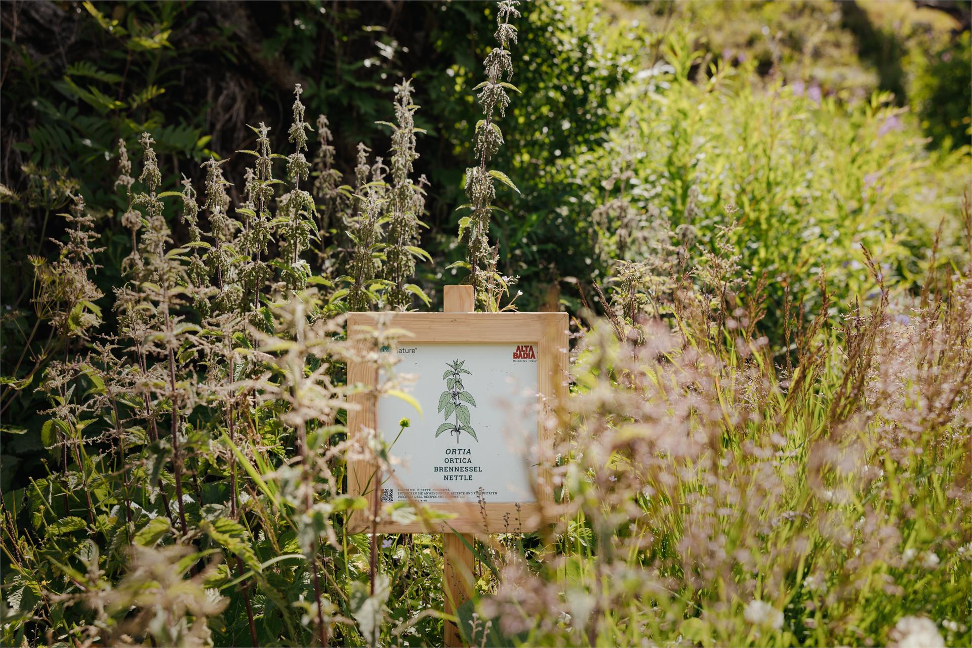 Food Forest: the forest garden of Passo Campolongo Corvara 3 suedtirol.info