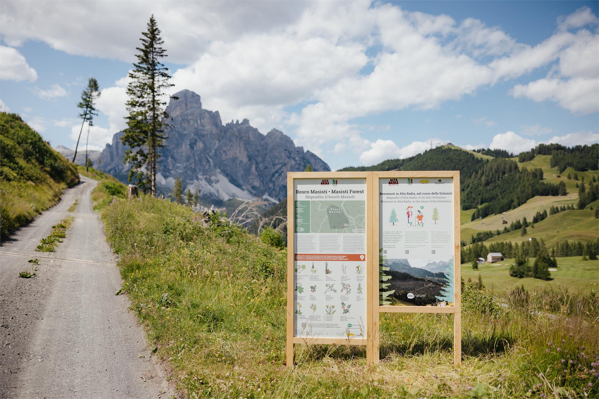 Food Forest: the forest garden of Passo Campolongo Corvara 2 suedtirol.info