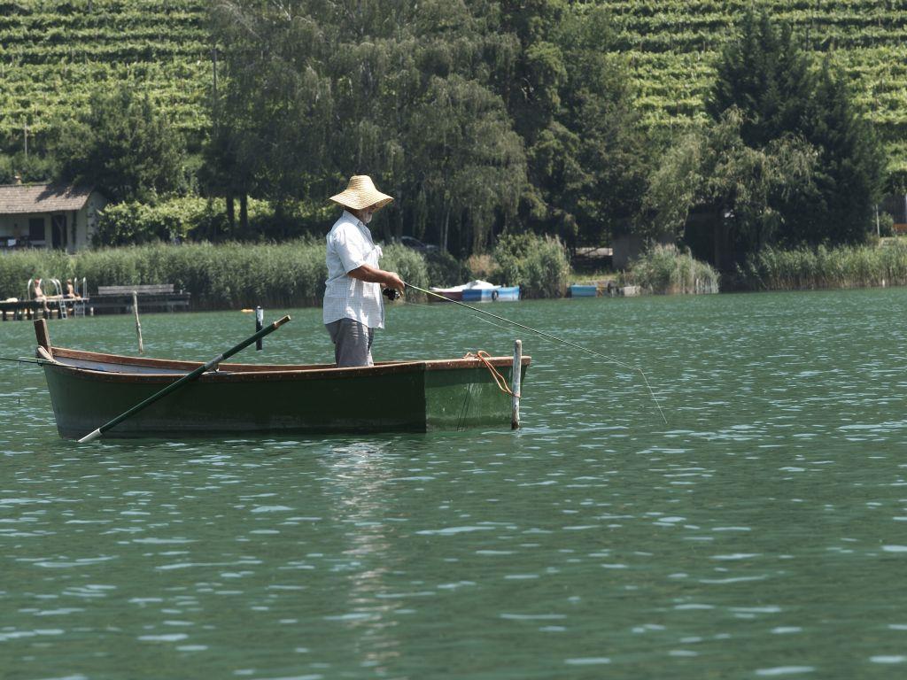Fischen am Kalterer See Kaltern an der Weinstraße 2 suedtirol.info