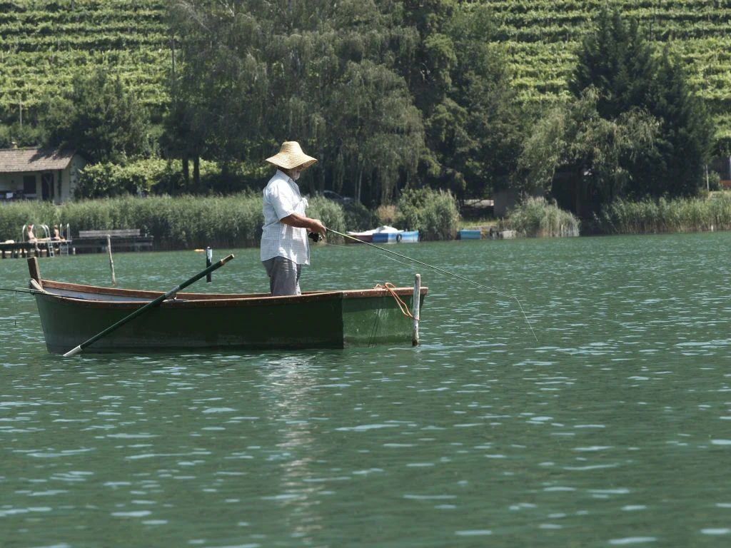 Fishing at the Lago di Caldaro/Kalterer See  2 suedtirol.info