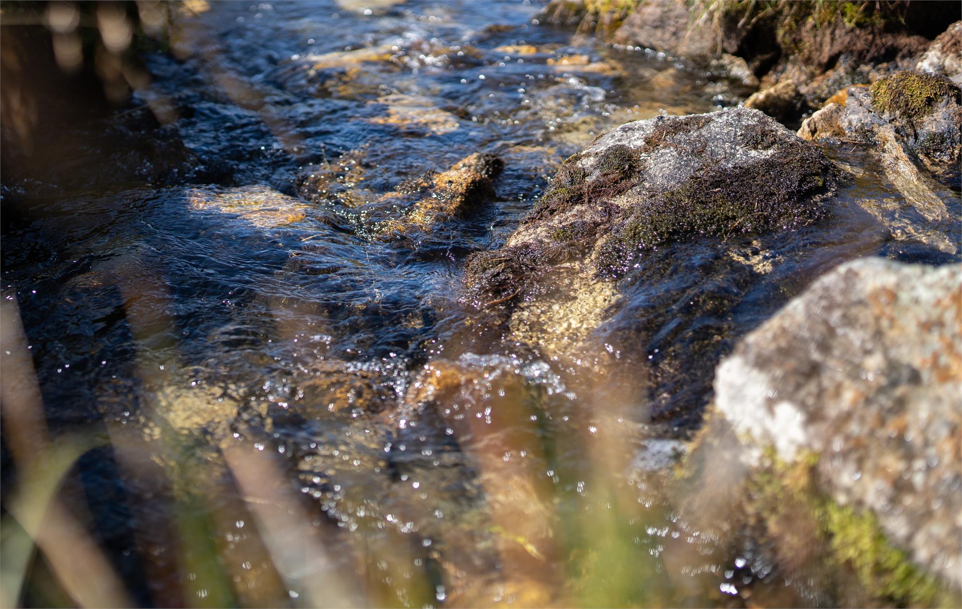 Fishing in the Trippbach river St. Johann/S. Giovanni Ahrntal/Valle Aurina 1 suedtirol.info