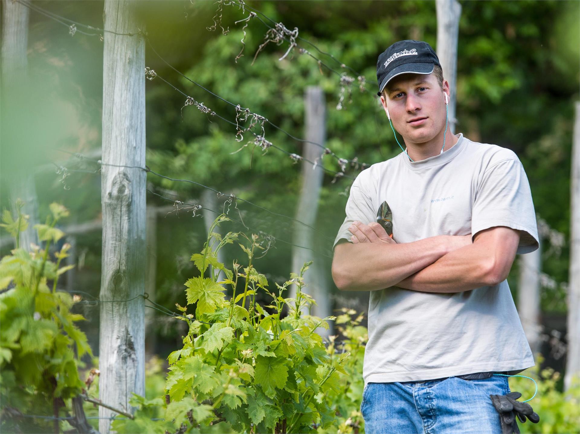 Gaudenz Hofbrennerei & Weingut Partschins 4 suedtirol.info