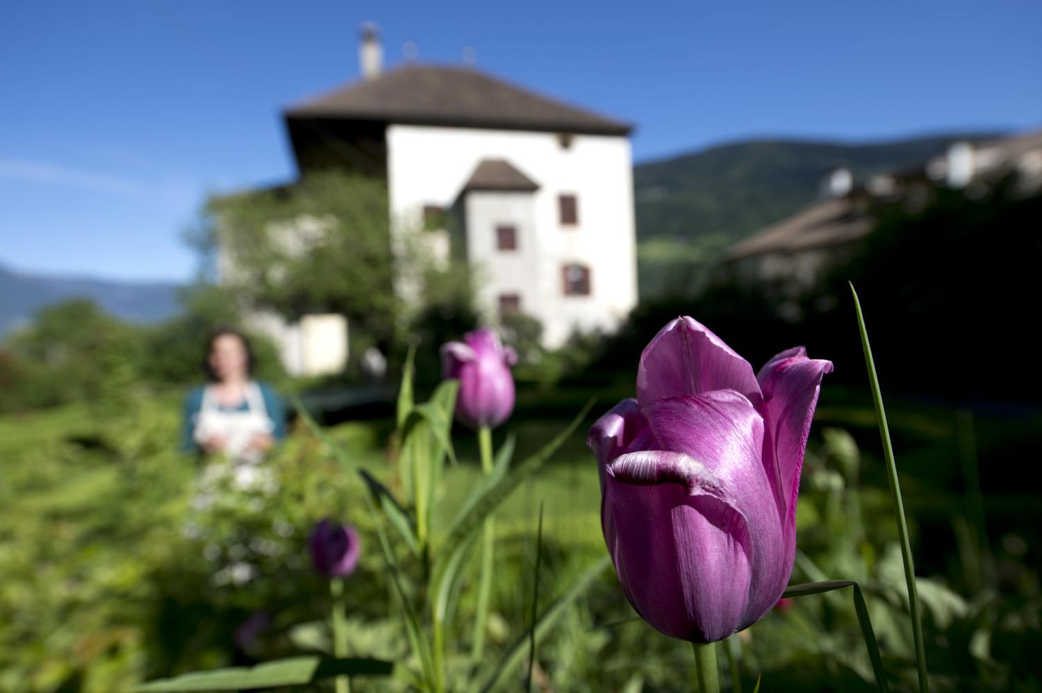Gaudenz Hofbrennerei & Weingut Partschins 5 suedtirol.info