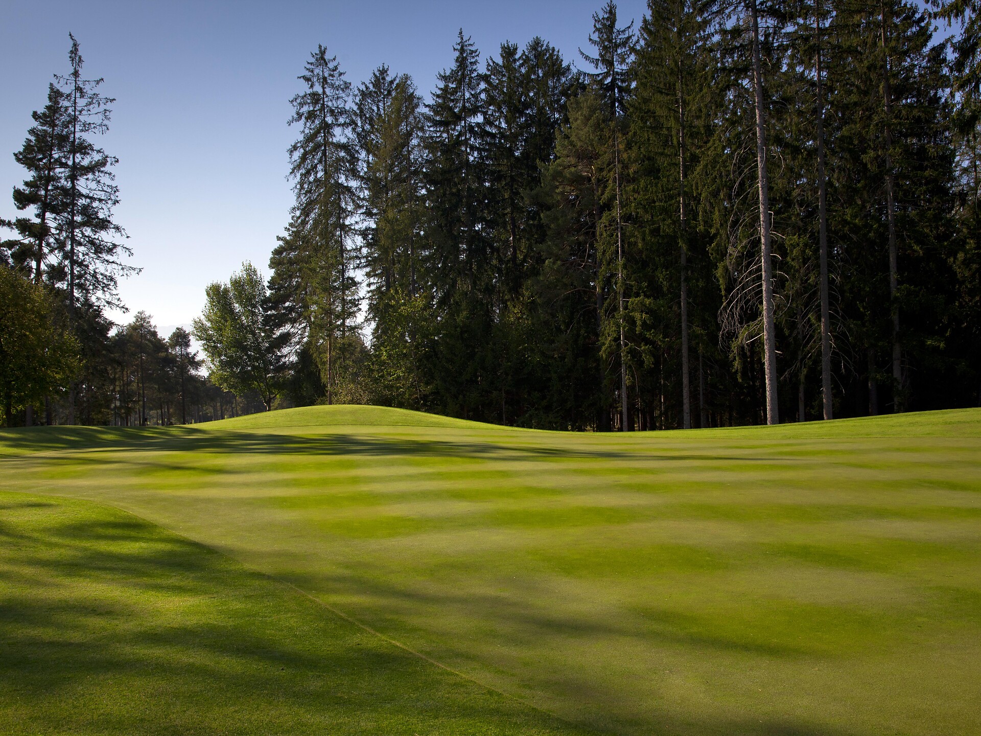 Golf course in Sarnonico