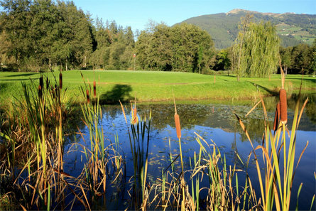 Campo da golf di Vipiteno  2 suedtirol.info