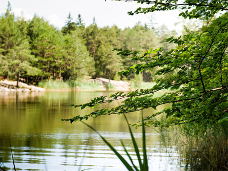 Lago Göller  1 suedtirol.info