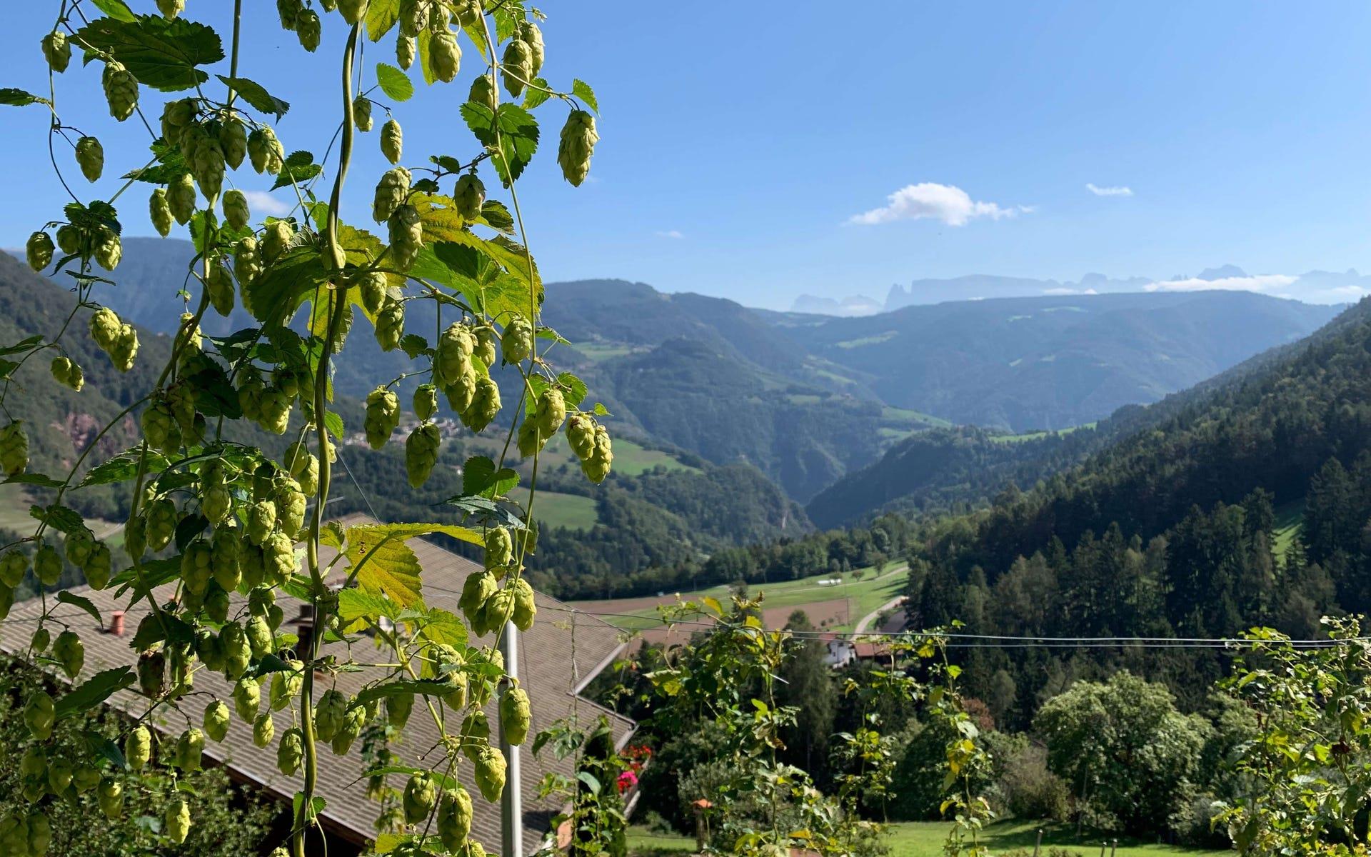 Guggenbräu - Agribirrificio San Genesio Atesino 4 suedtirol.info
