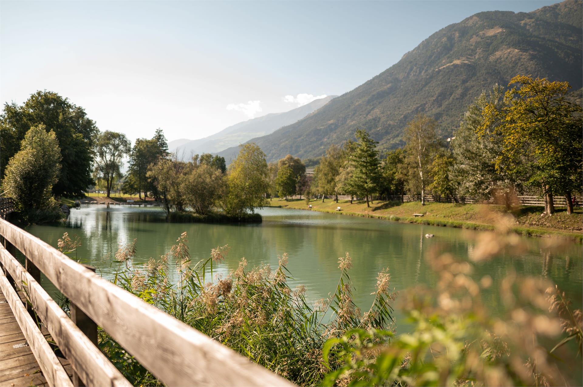 Lago di Coldrano Laces 1 suedtirol.info