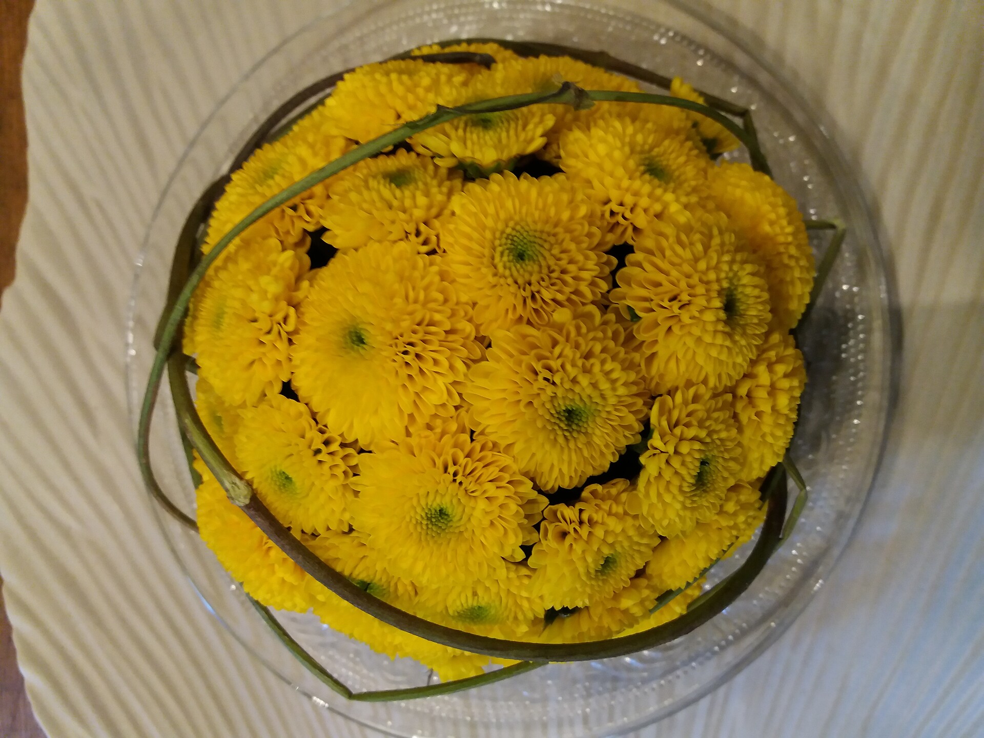 Blumenecke Gamberoni