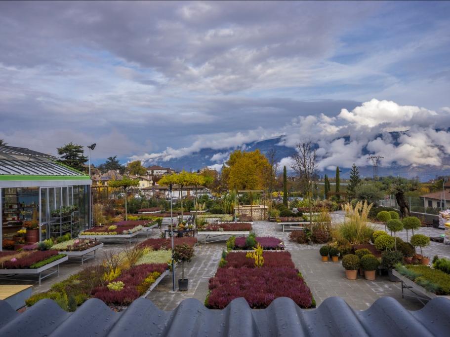 Garden World Platter Eppan an der Weinstaße/Appiano sulla Strada del Vino 4 suedtirol.info