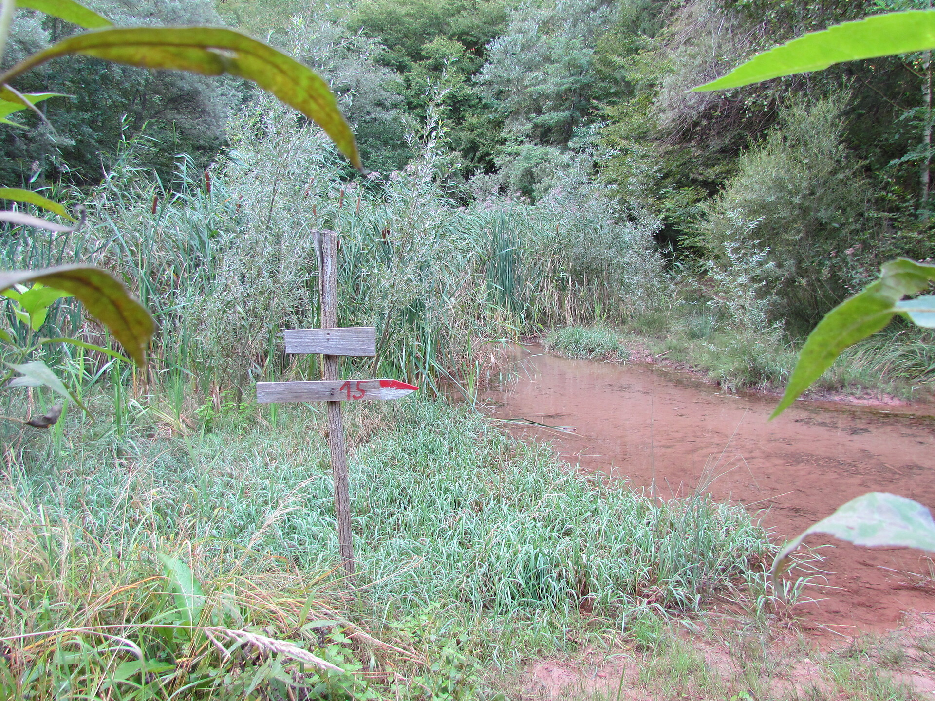 laghetto