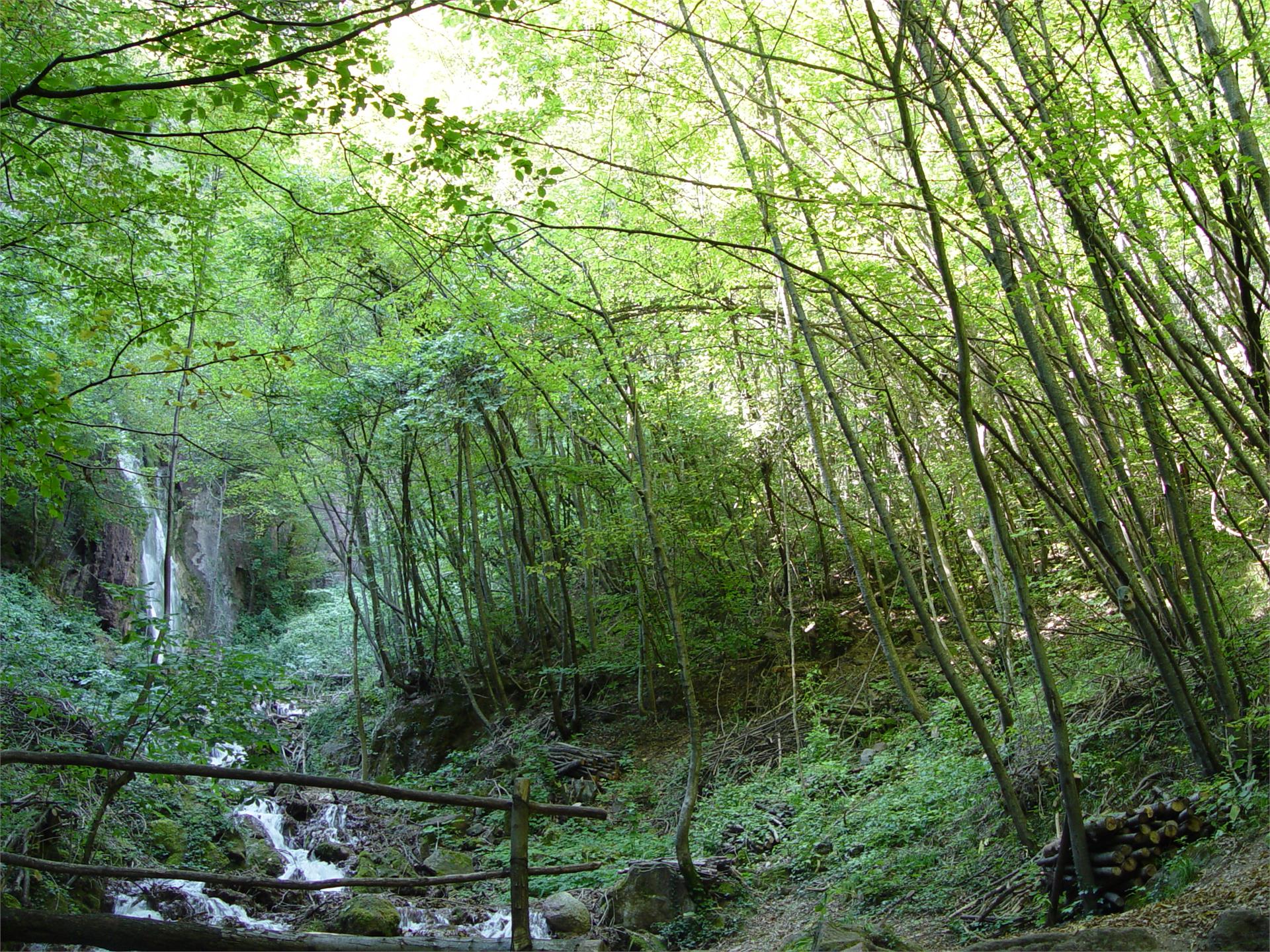 Gola del Rio Gaido Andriano 10 suedtirol.info