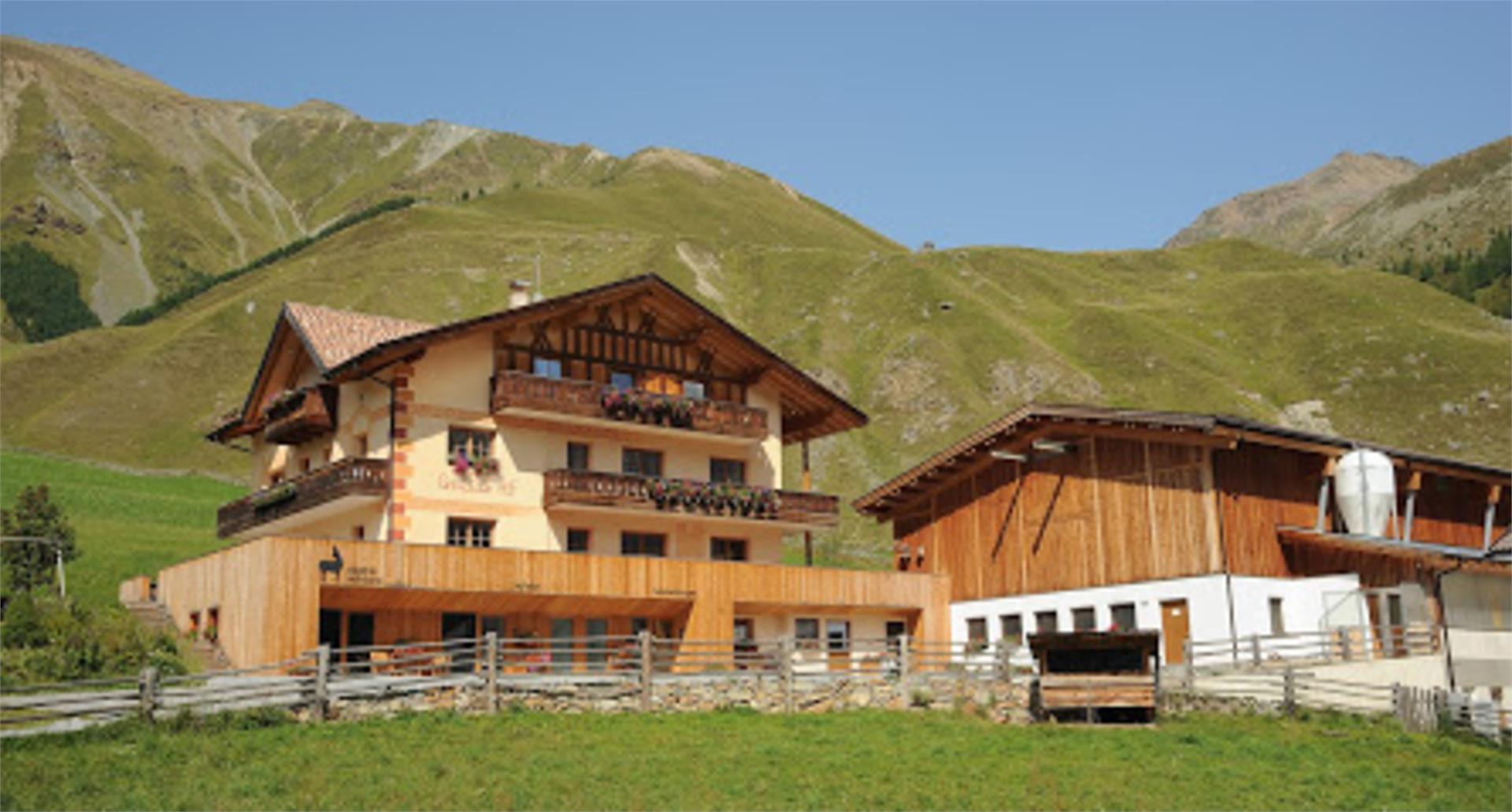 Gamsegghof Graun im Vinschgau/Curon Venosta 1 suedtirol.info