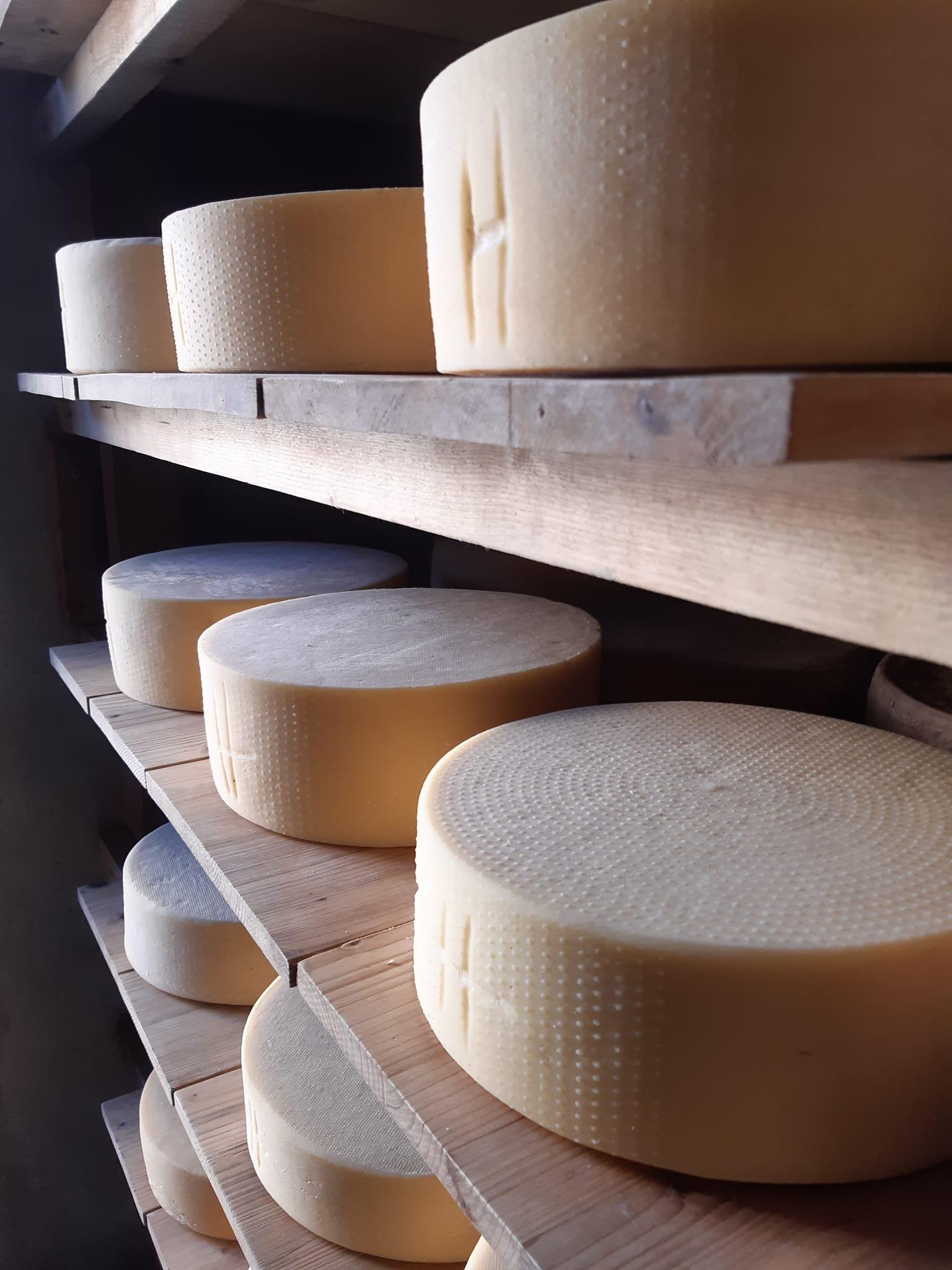 Cheese Dairy Laugenspitz - "Kashittl" (Moarhans) Tisens/Tesimo 3 suedtirol.info