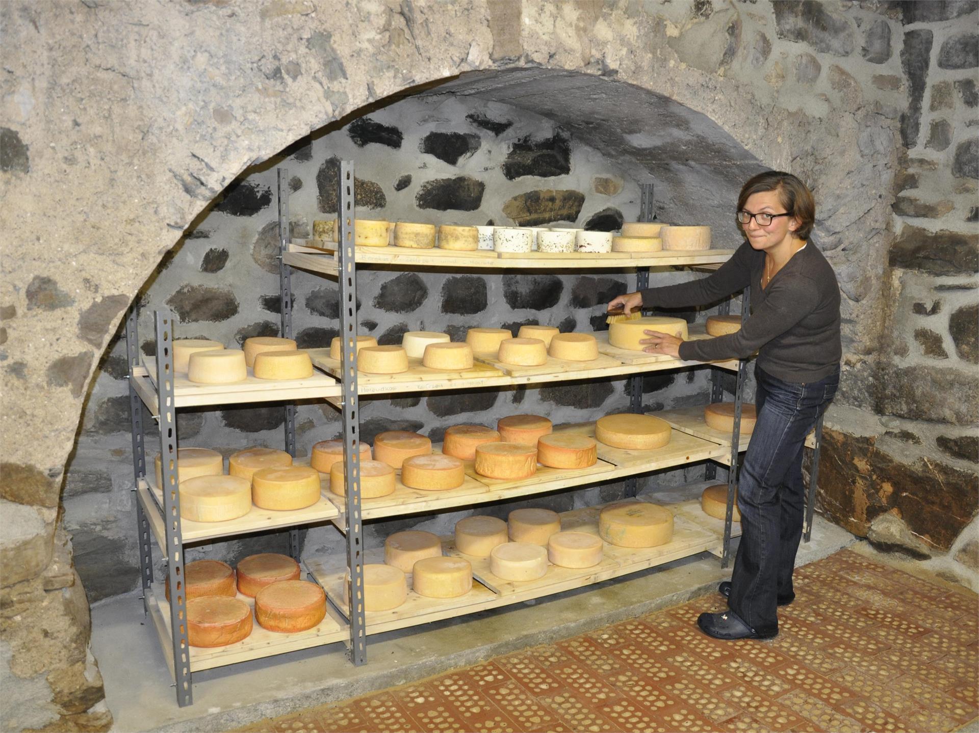 Cheese Dairy Laugenspitz - "Kashittl" (Moarhans) Tisens/Tesimo 6 suedtirol.info