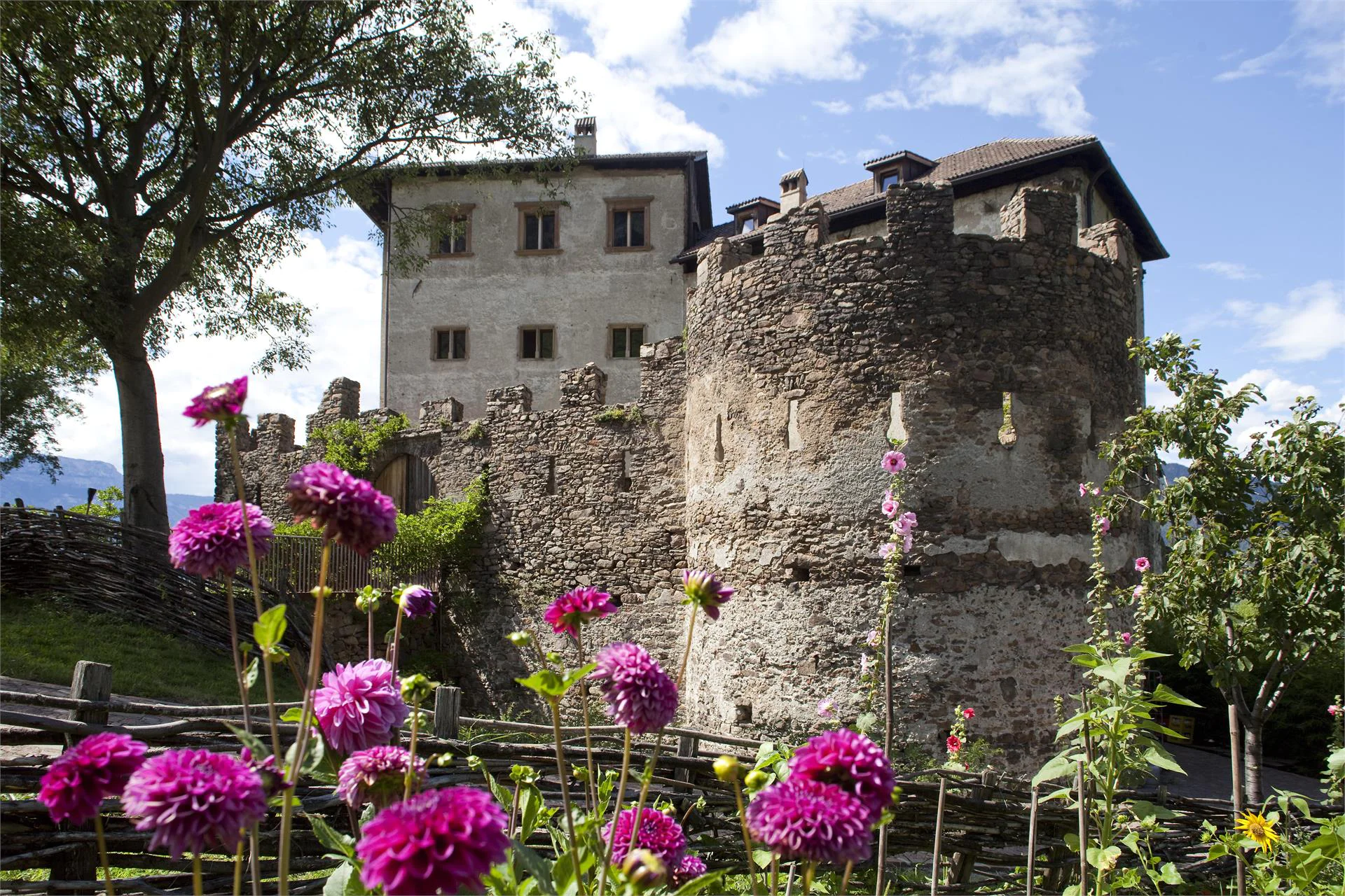 Flavon/Haselburg Castle Bolzano/Bozen 2 suedtirol.info